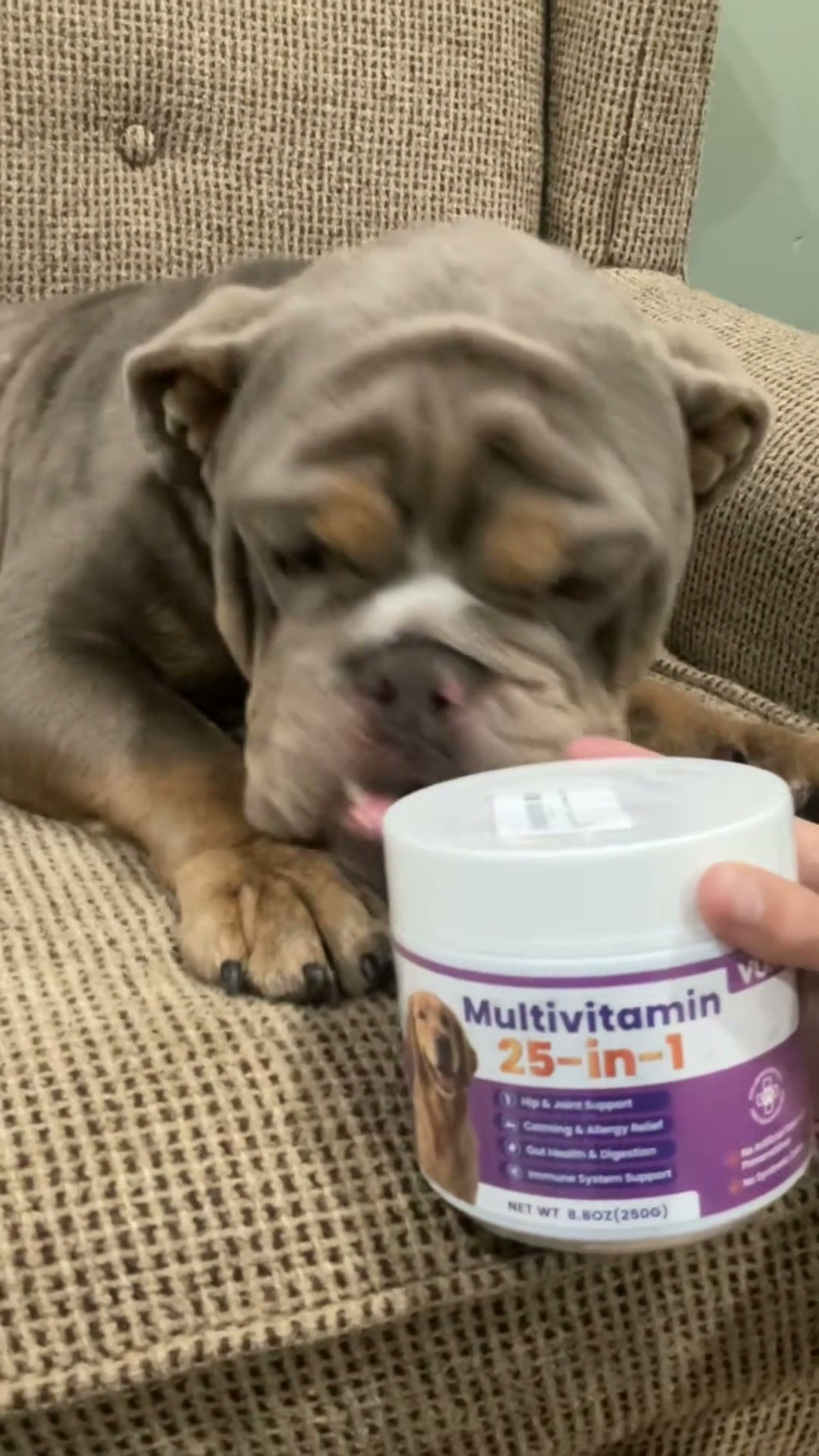 VUN 25-in-1 multivitamin for dogs