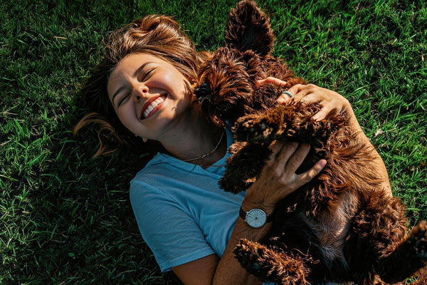 VUN Joins APPA: What Is the American Pet Products Association (APPA)