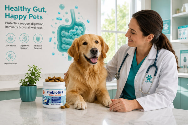 Are Human Probiotics Safe for Dogs? What Every Pet Owner Should Know