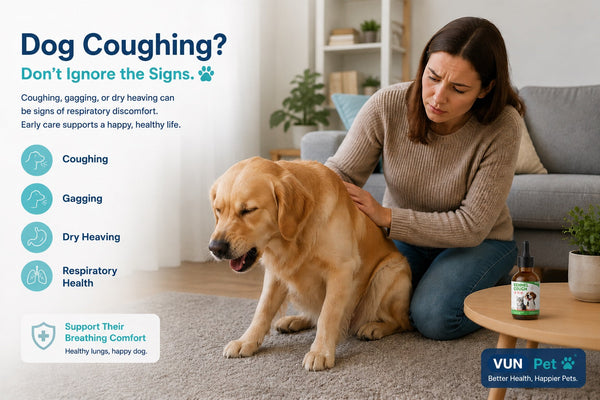 Why Is My Dog Coughing? Causes of Dog Cough, Gagging, Dry Heaving & What to Do