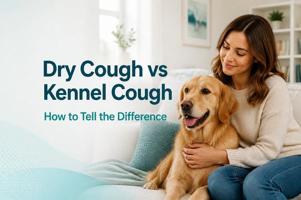 Dog Dry Cough vs Kennel Cough: How to Tell the Difference