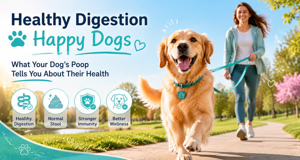 Dog Poop Guide: What Your Dog's Stool Color, Texture & Habits Can Tell You