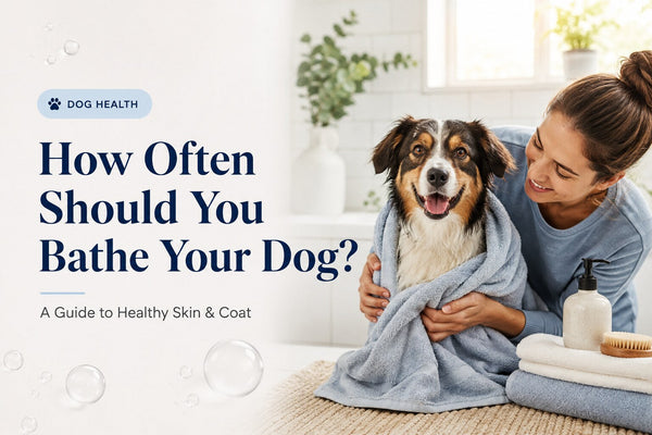 How Often Should You Bathe Your Dog? A Guide to Healthy Skin & Coat