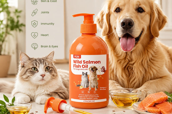 Fish Oil for Dogs & Cats: Benefits, Dosage & How to Choose the Best Omega-3