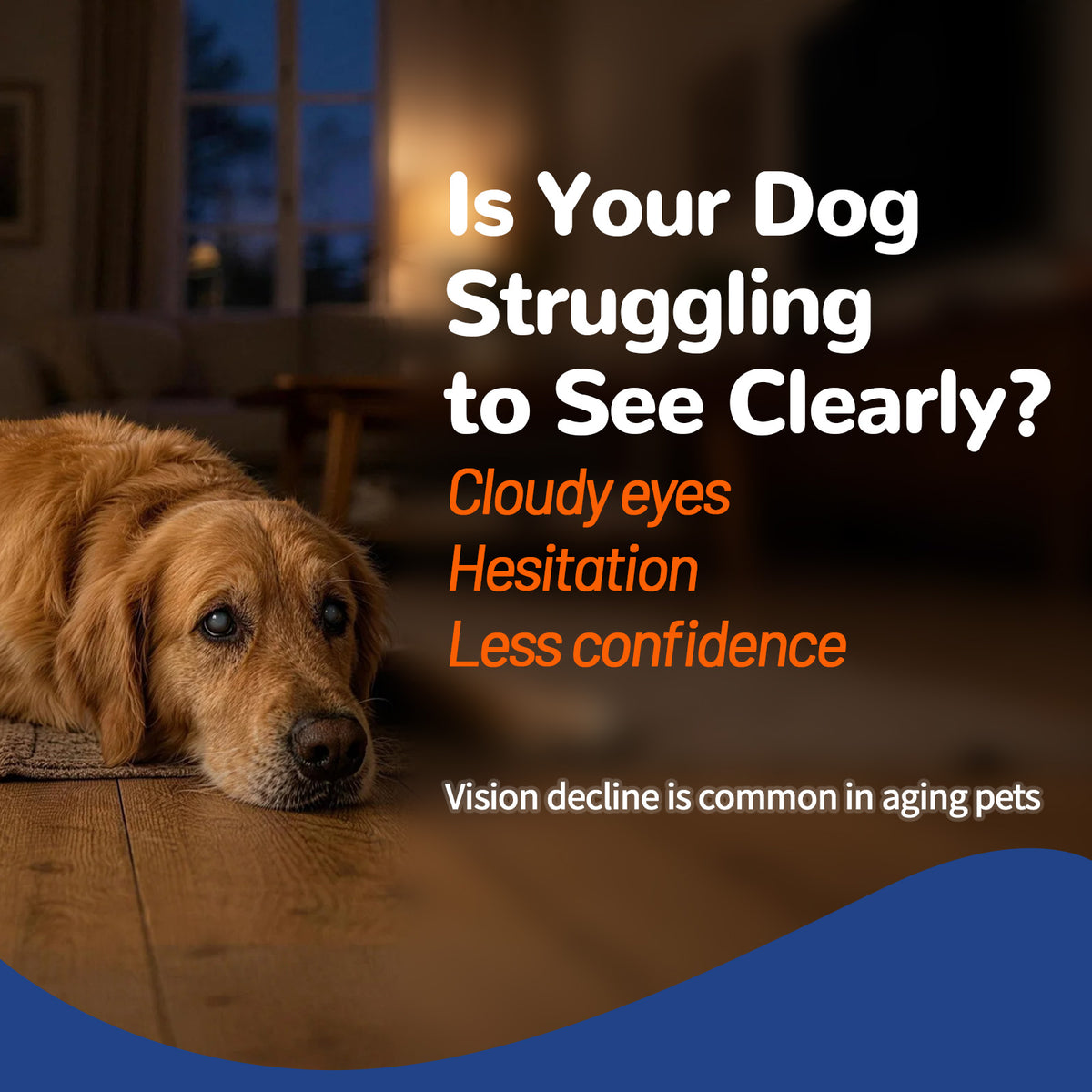 VUN Dog Eye Supplements-Dog Vision Supplement Soft Chew for Cloudy Eyes