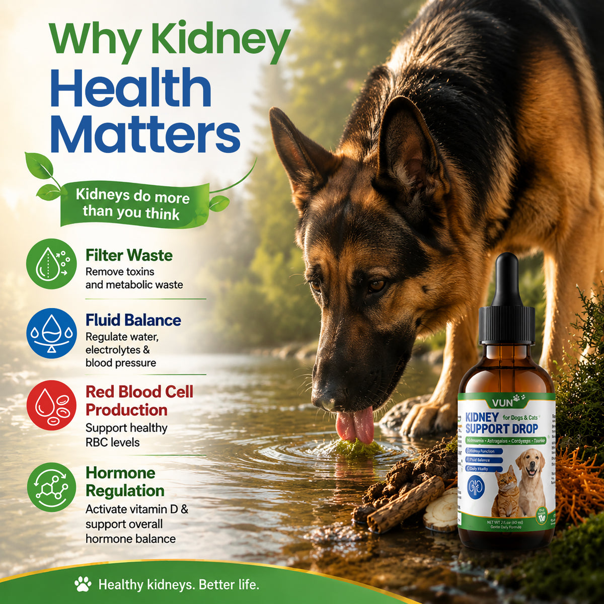 VUN Kidney Support Supplement for Dogs & Cats,Dog Liquid Herbal Kidney