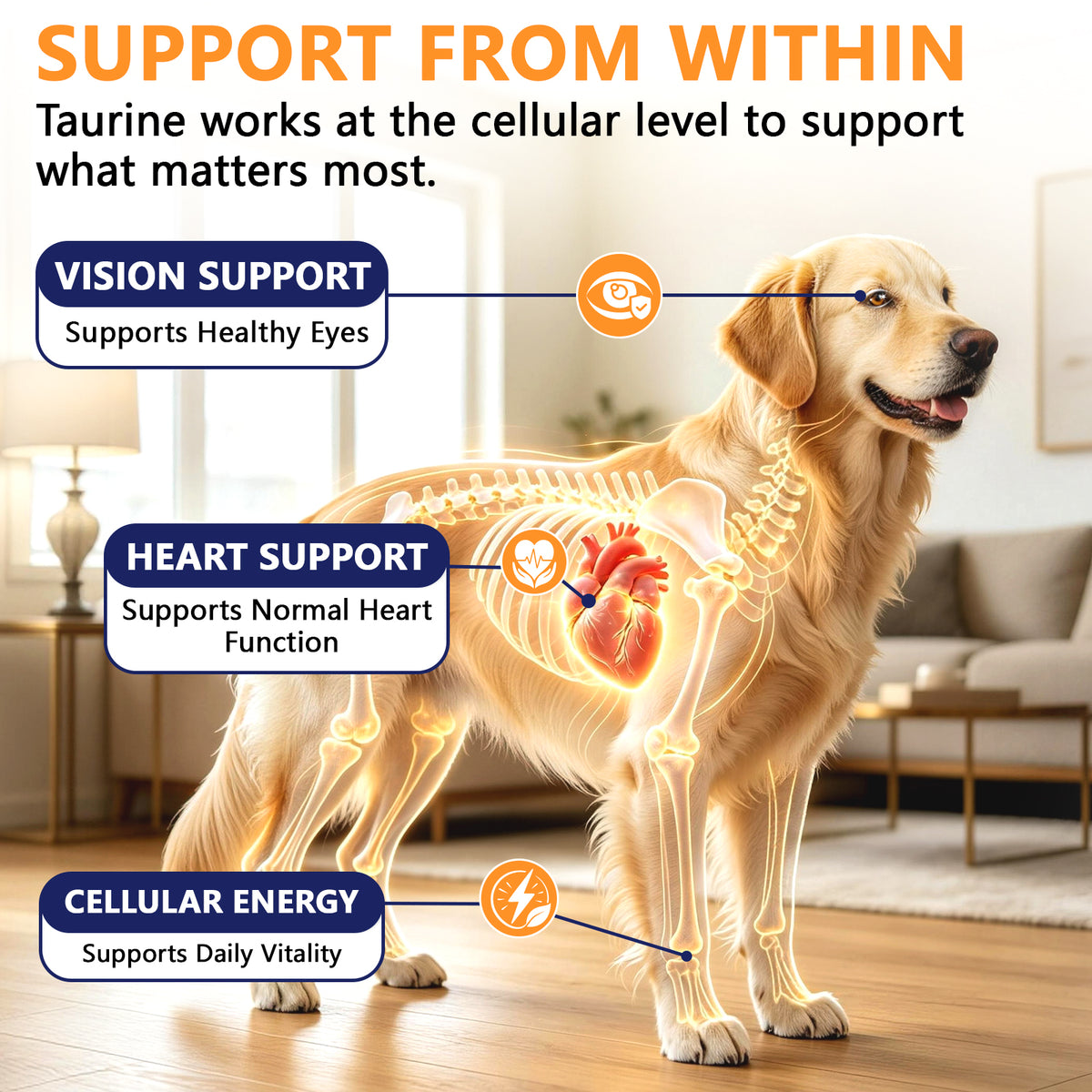 Taurine for Dogs - Taurine Liquid Supplement for Cats Healthy Vision, Heart