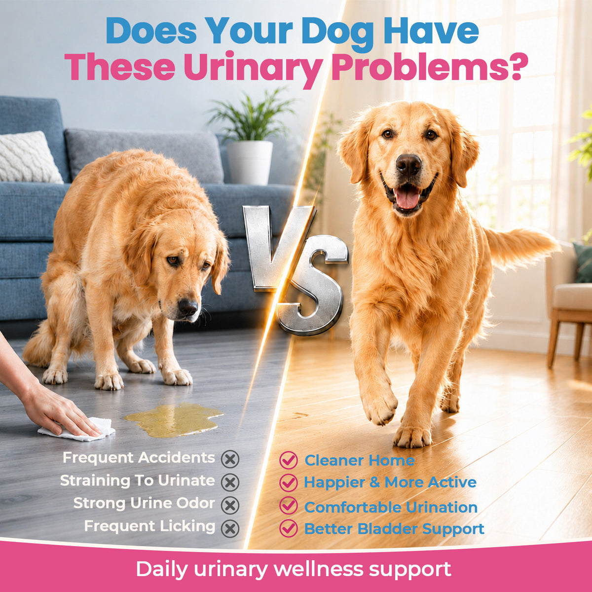 VUN Urinary Support Chews for Dogs & Cats – Cranberry & D-Mannose Formula