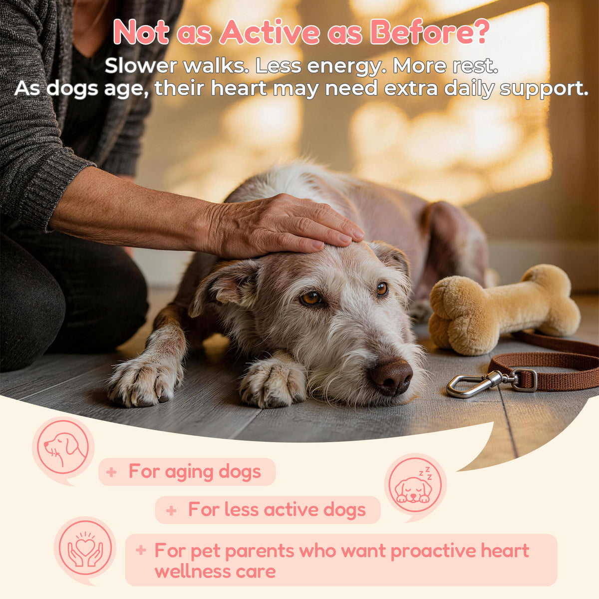 VUN Dog Heart Supplements–Senior Dogs Cardio Support Soft Chews