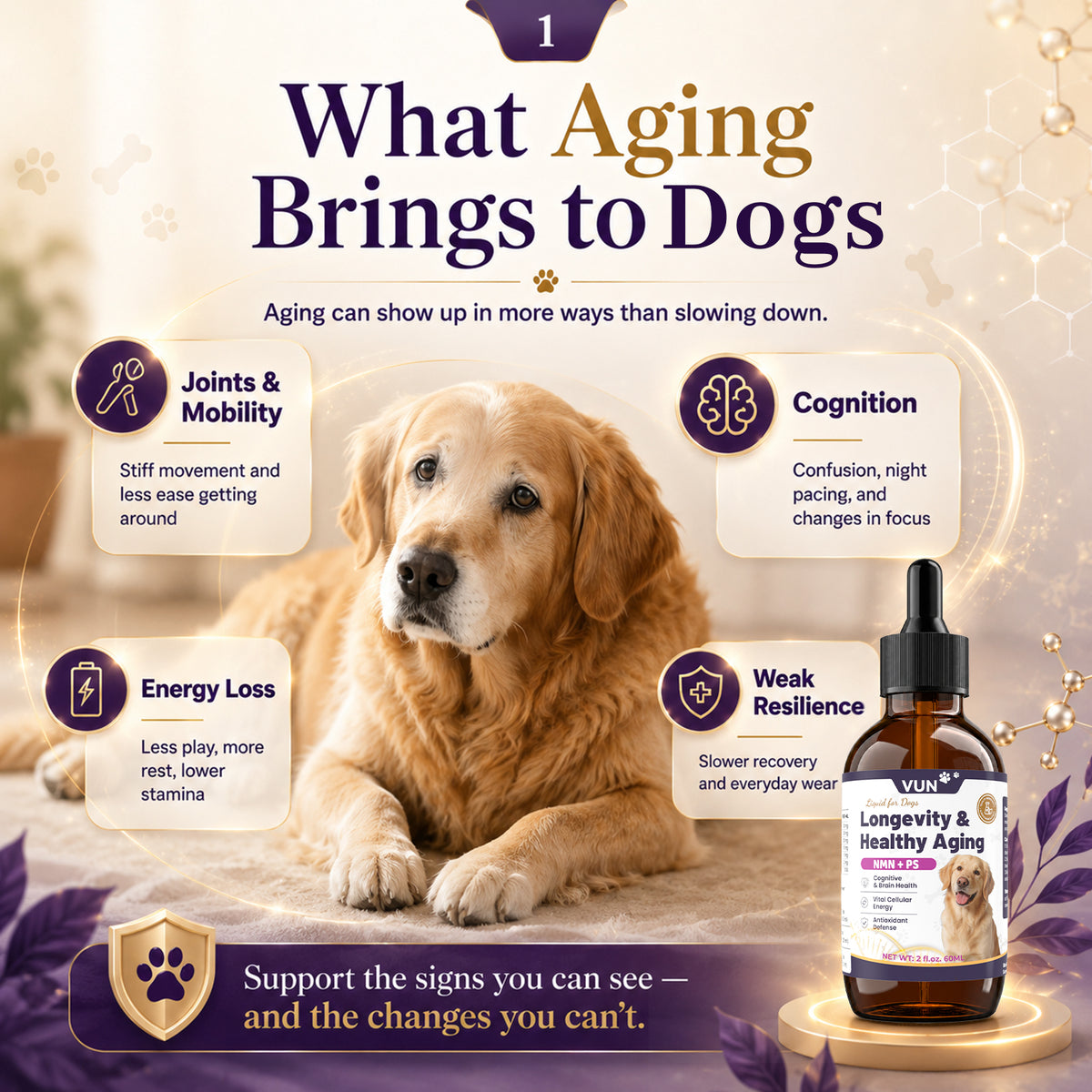 VUN NAD+ Longevity Supplement for Senior Dogs & Cats Cognitive