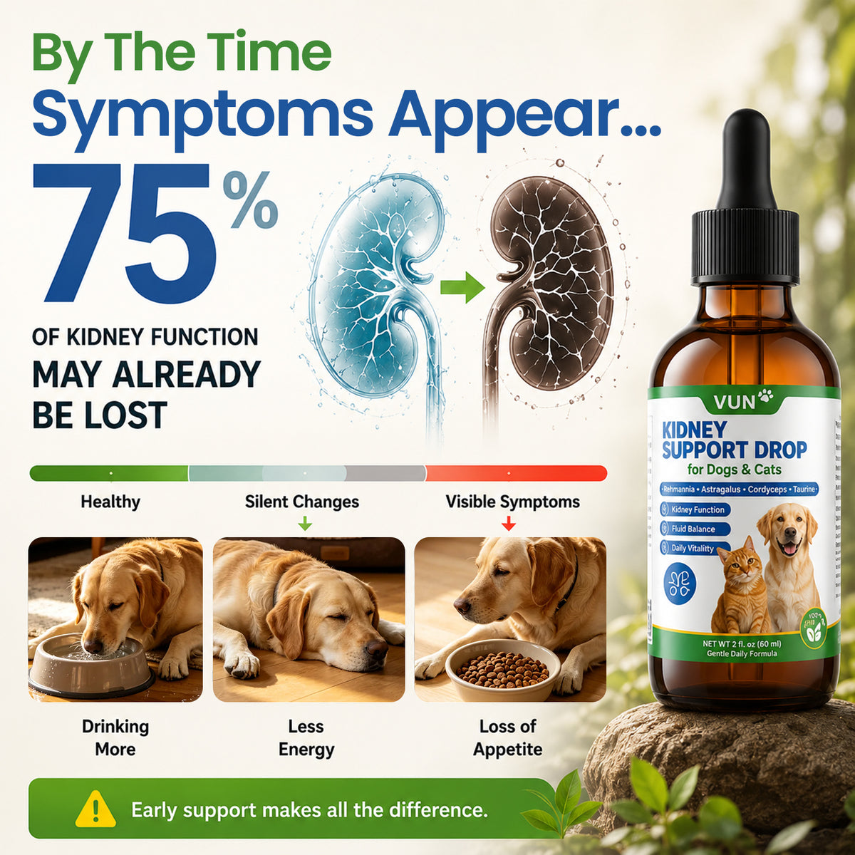 VUN Kidney Support Supplement for Dogs & Cats,Dog Liquid Herbal Kidney