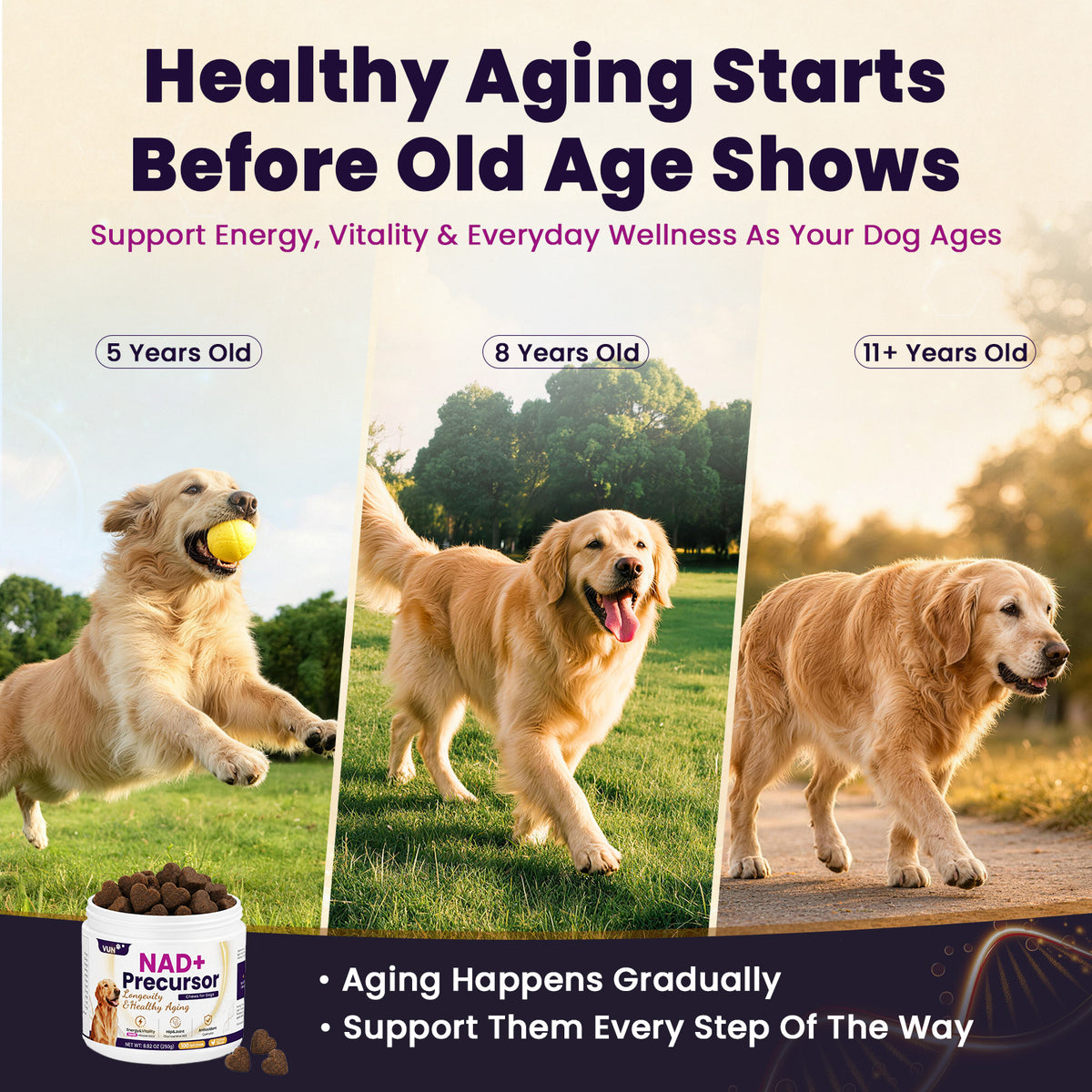 VUN Senior Dog NAD+ Longevity Supplement,NMN Healthy Aging Chews for Dogs