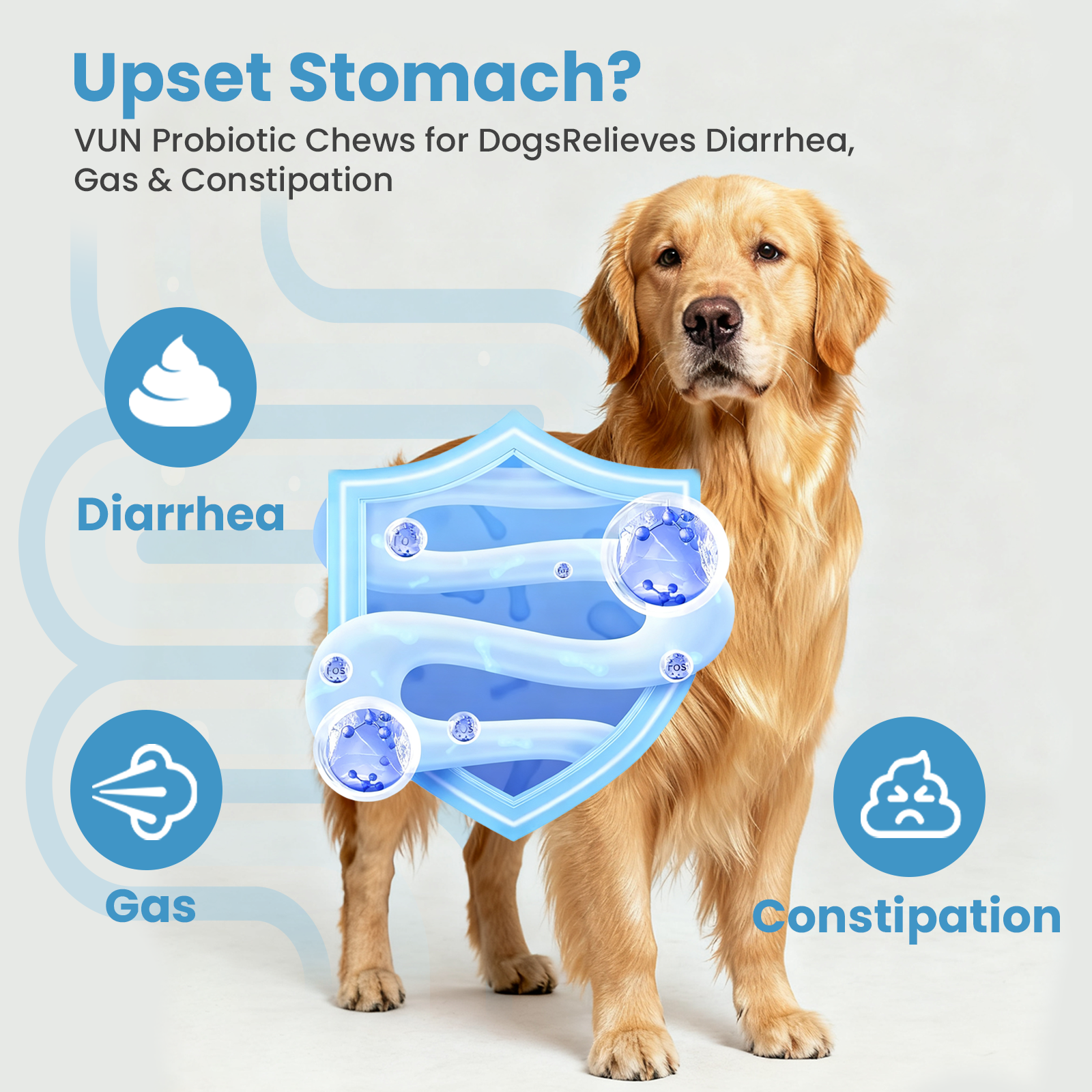 VUN Dog Probiotic Soft Chews | Daily Digestive Wellness Supplement