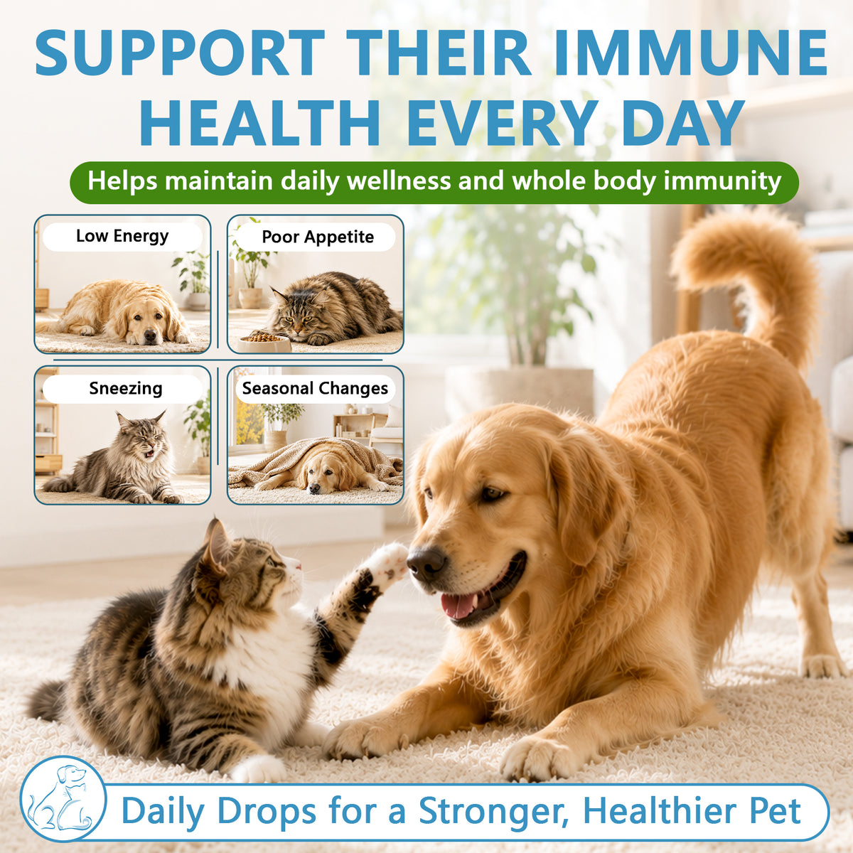 Natural Antibiotics for Dogs Infections, Dog Antibiotics for Allergies