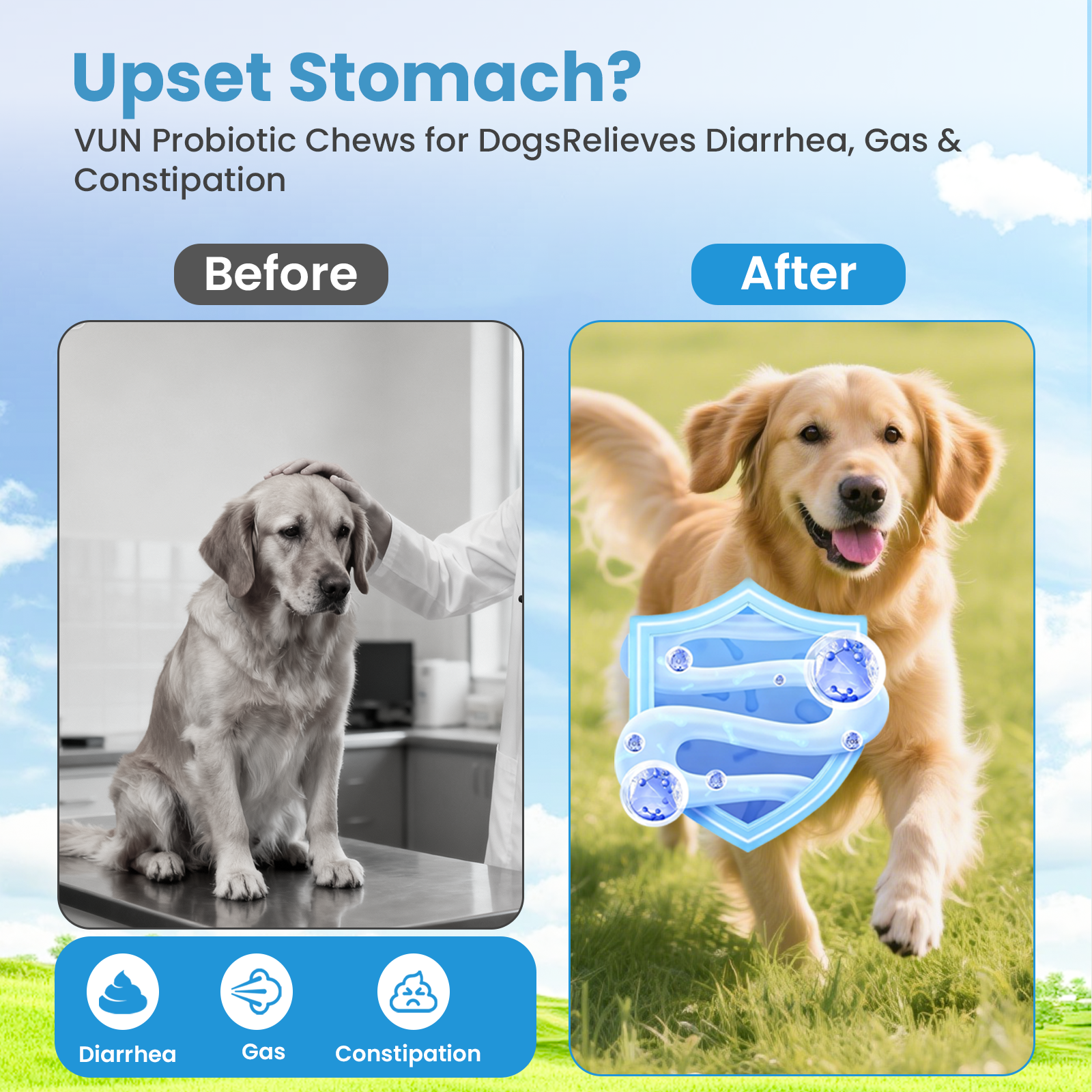 VUN Dog Probiotic Soft Chews | Daily Digestive Wellness Supplement