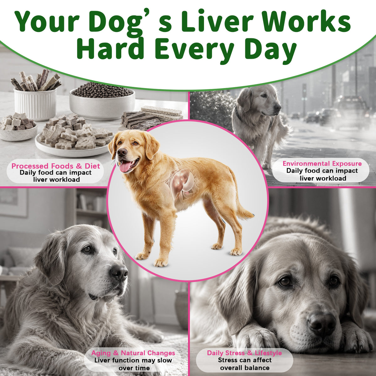 VUN Milk Thistle Supplement for Dogs,Dog Liver Support Soft Chew