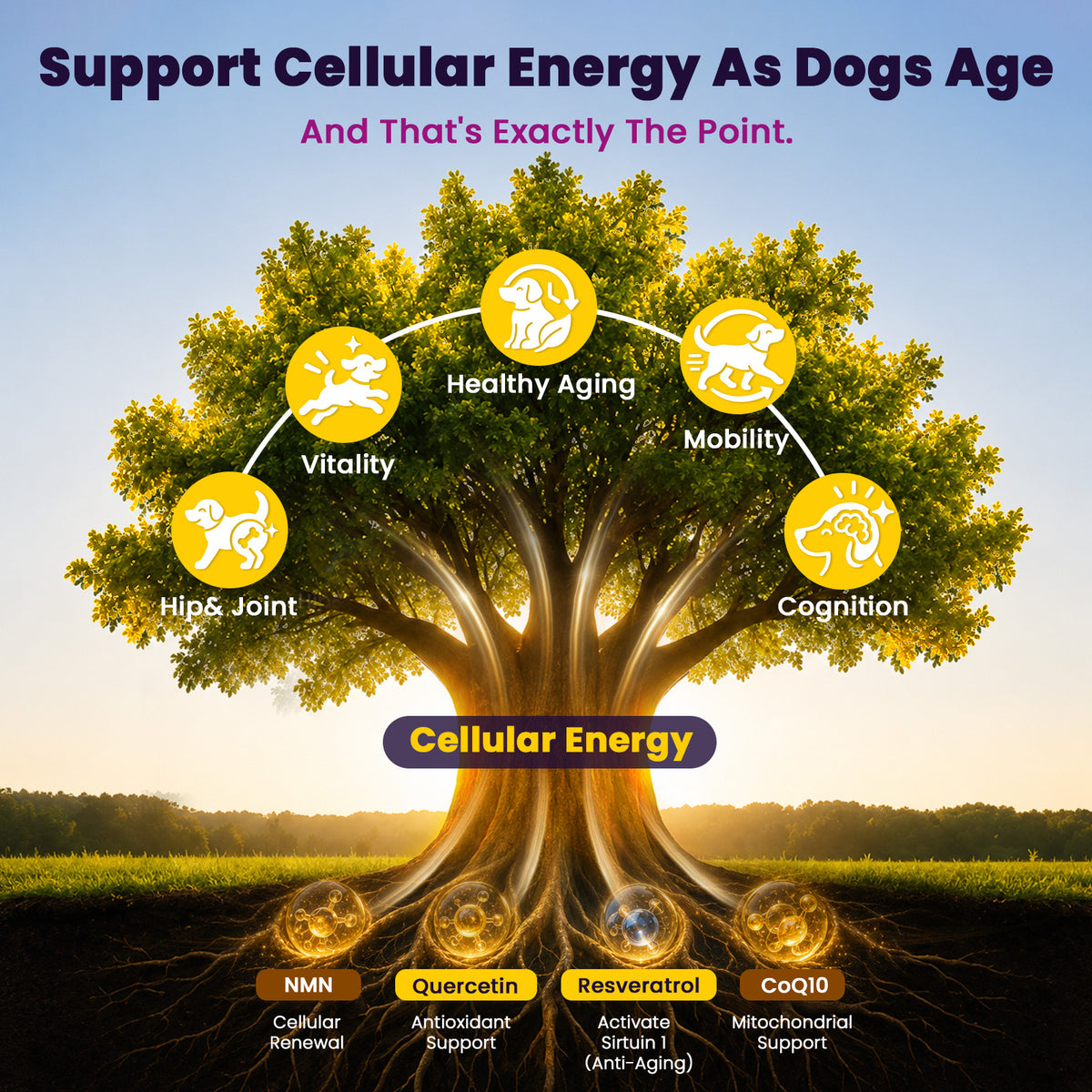 VUN Senior Dog NAD+ Longevity Supplement,NMN Healthy Aging Chews for Dogs