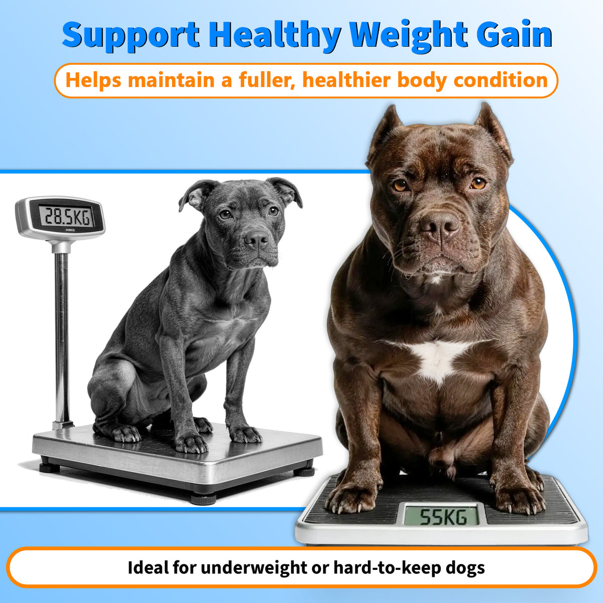 VUN Muscle Gain Power Soft Chews for Dogs– Dog Weight Gainer Treats
