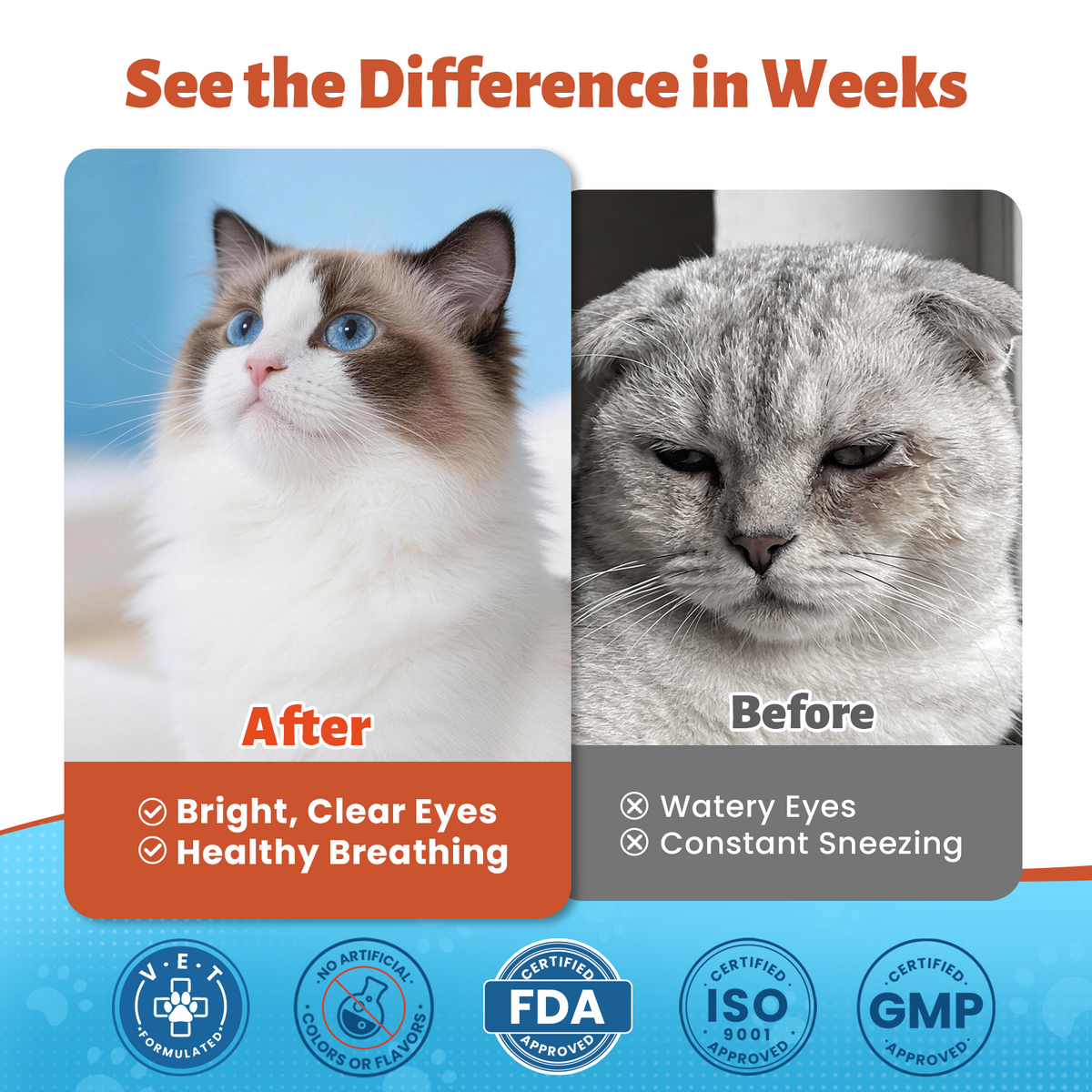 VUN L Lysine for Cats-Liquid Lysine Drops for Cat Immune & Respiratory