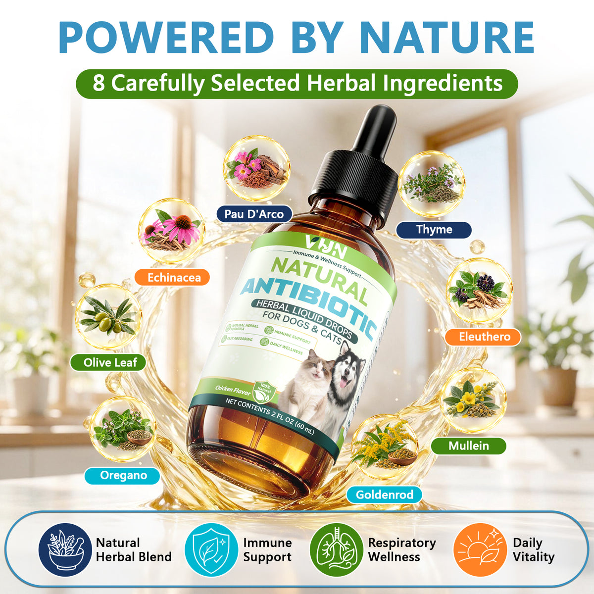 Natural Antibiotics for Dogs Infections, Dog Antibiotics for Allergies