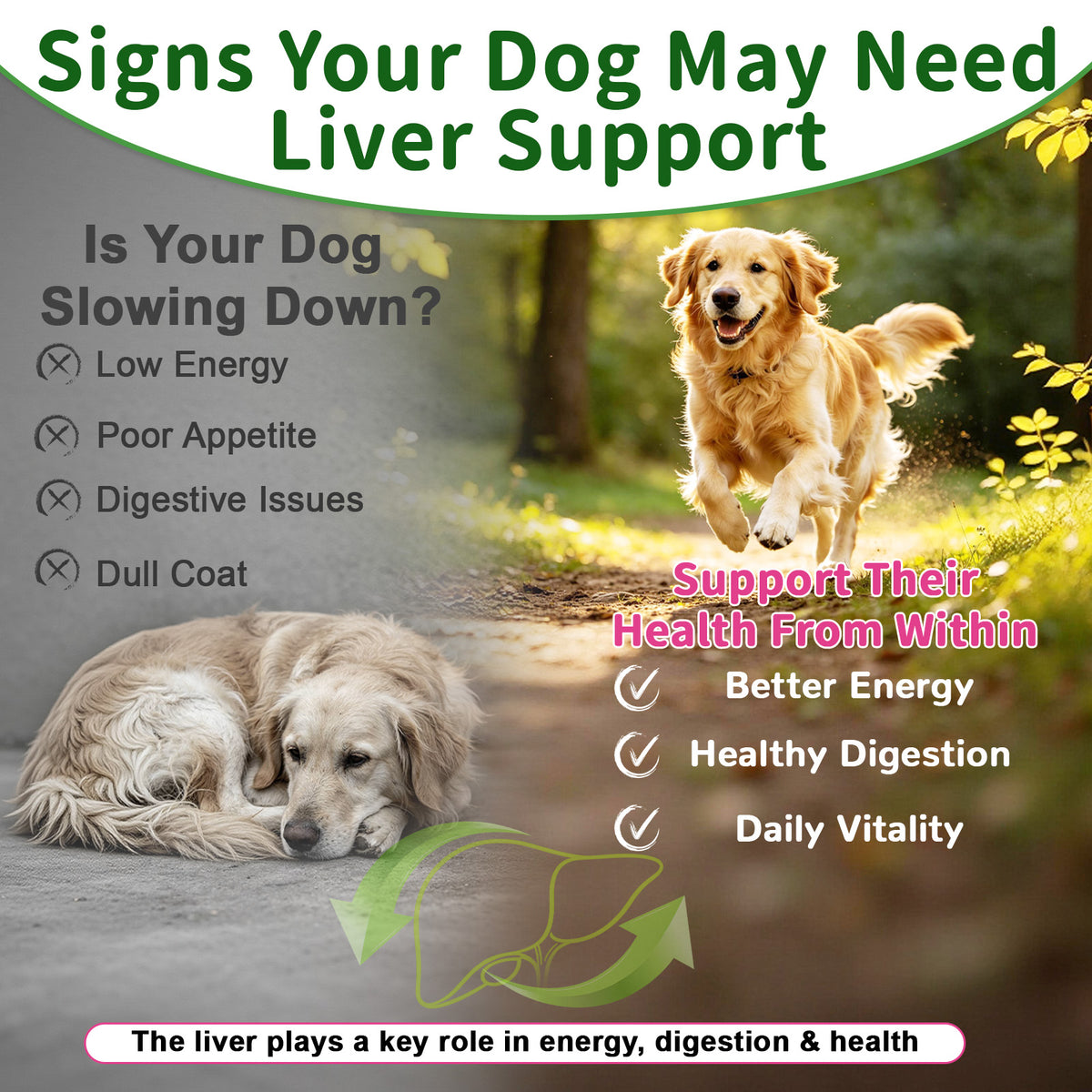 VUN Milk Thistle Supplement for Dogs,Dog Liver Support Soft Chew
