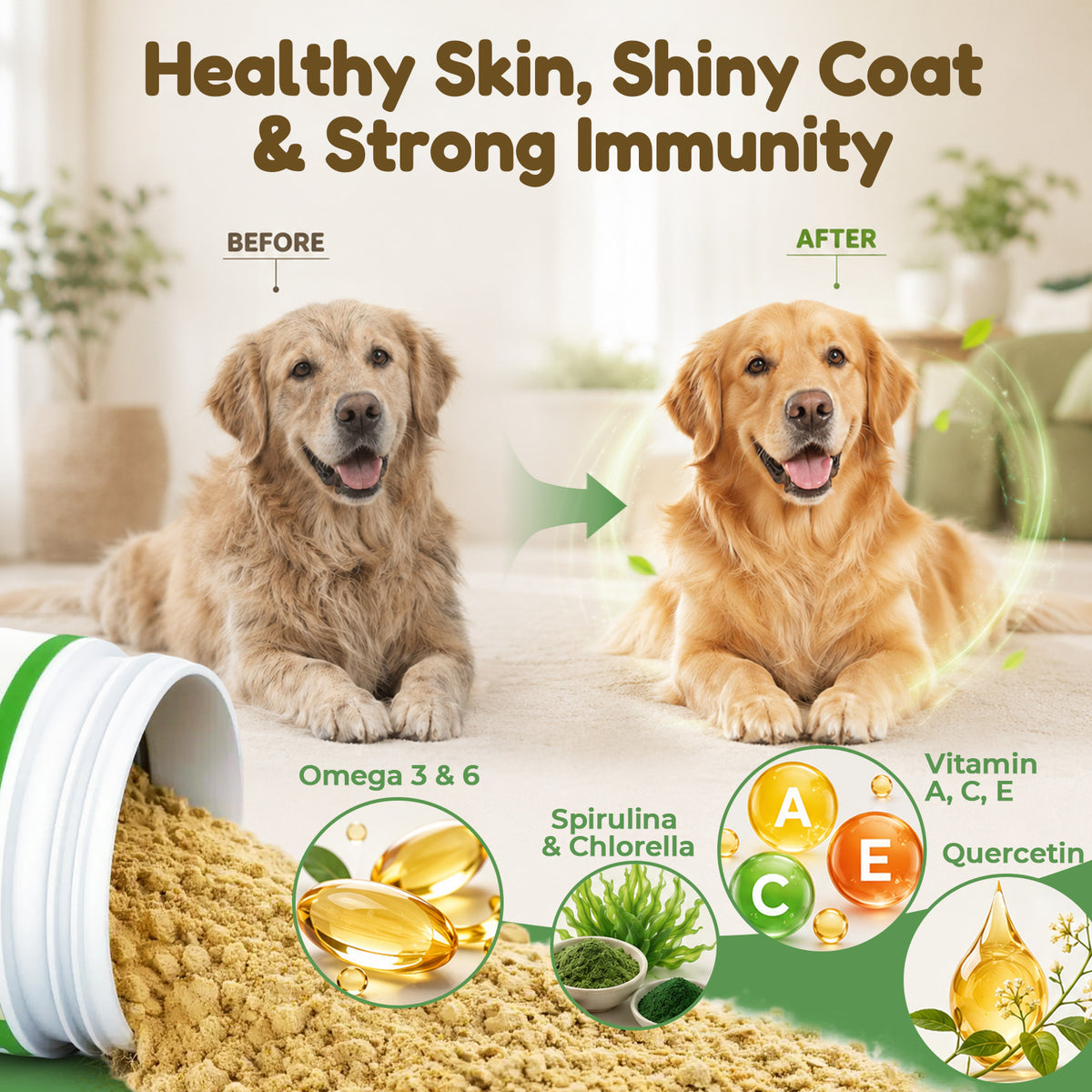 VUN Pet Daily Dog Vitamins Supplements Multivitamin Powder for Dogs