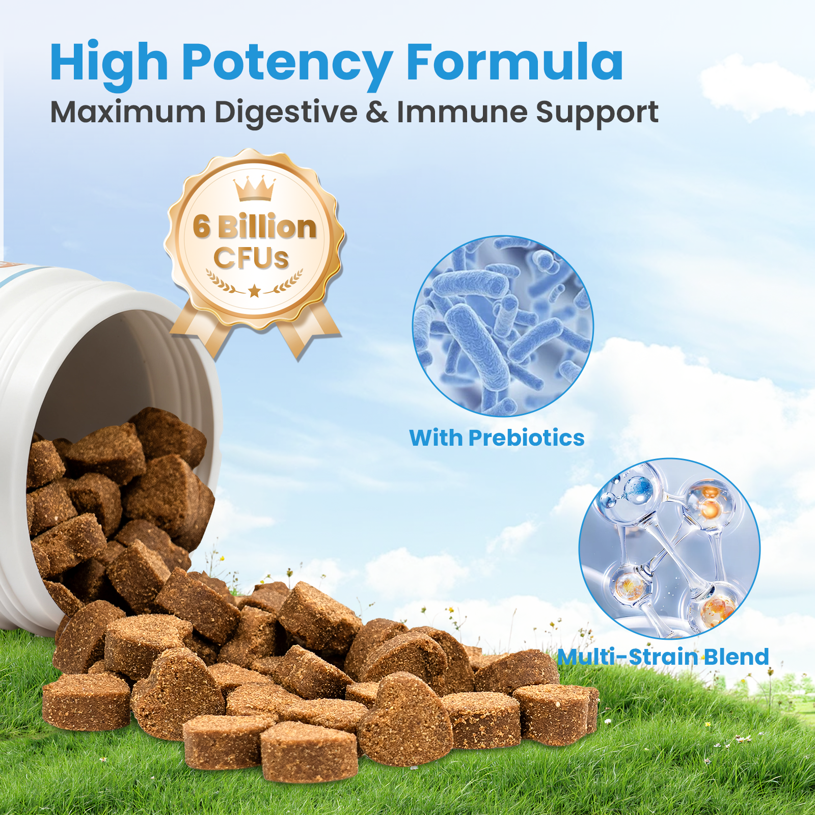VUN Dog Probiotic Soft Chews | Daily Digestive Wellness Supplement