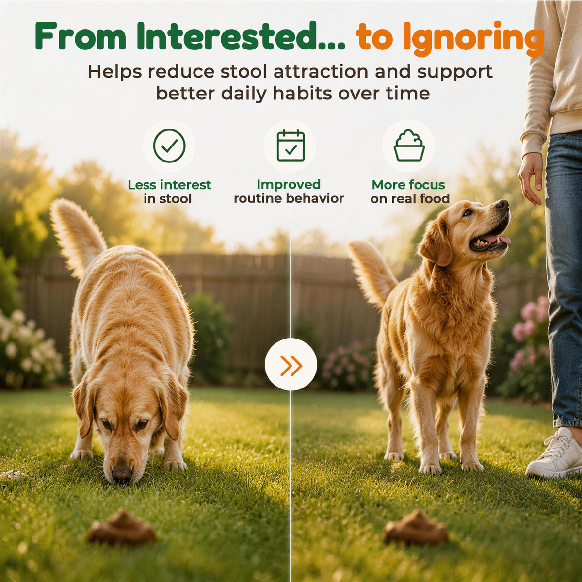 VUN No Poo Chews for Dogs – Coprophagia Stool Eating Deterrent for Dogs