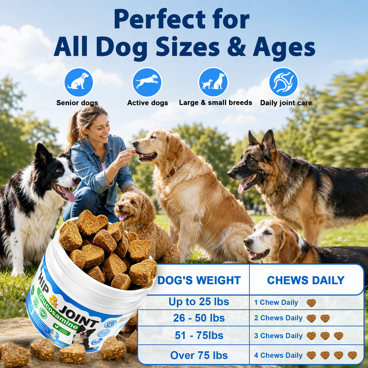 Hip and Joint Supplement for Dogs, Glucosamine Support for Dogs Joints Care