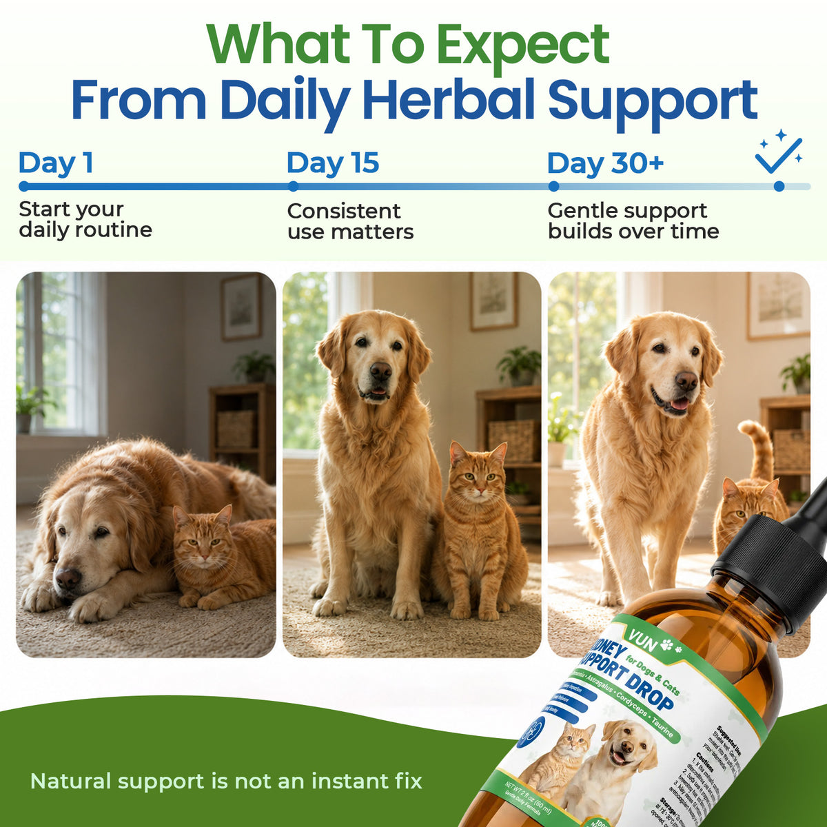 VUN Kidney Support Supplement for Dogs & Cats,Dog Liquid Herbal Kidney