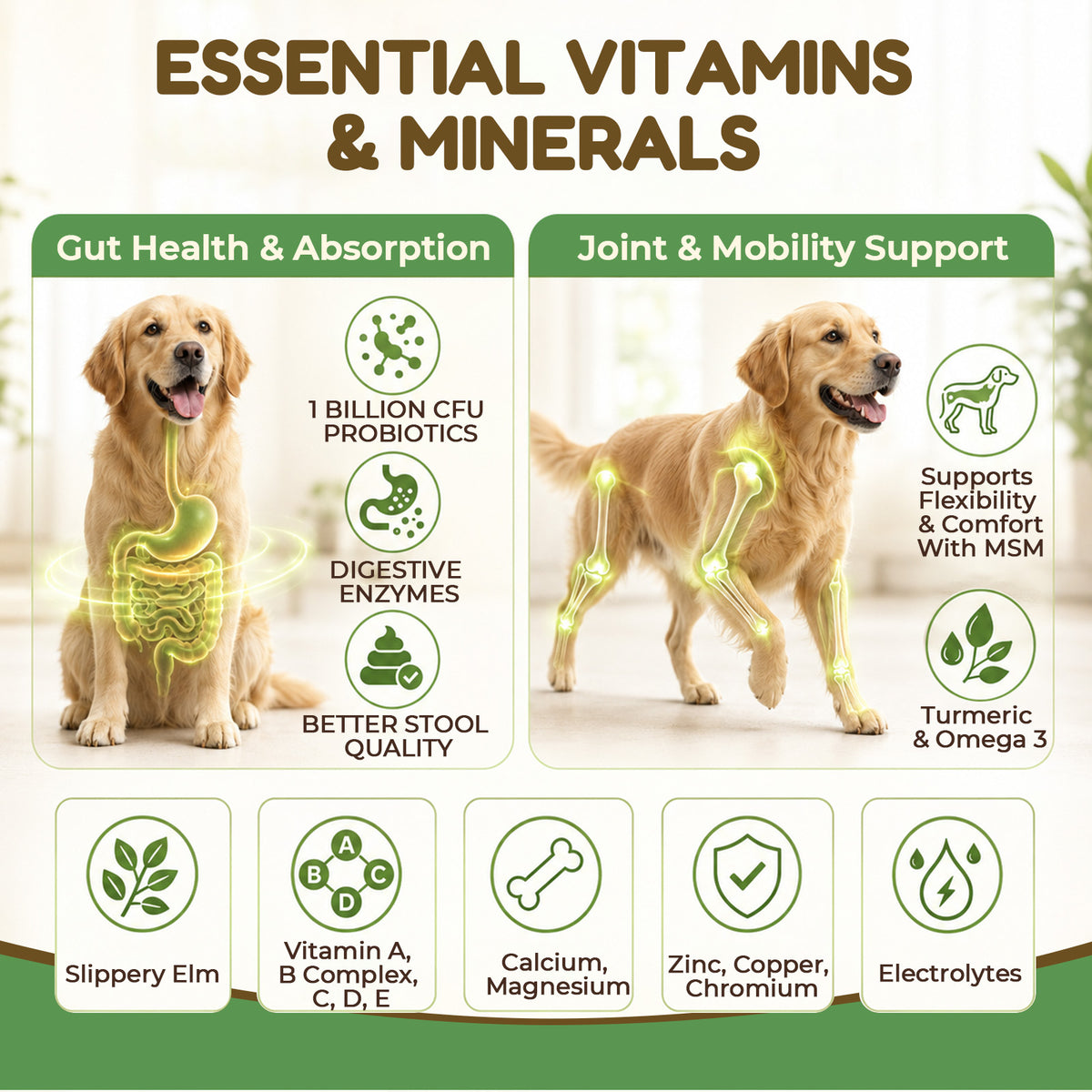 VUN Pet Daily Dog Vitamins Supplements Multivitamin Powder for Dogs