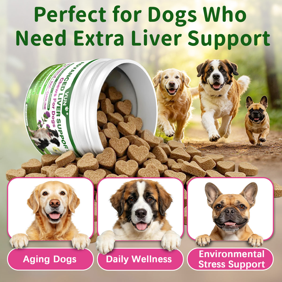 VUN Milk Thistle Supplement for Dogs,Dog Liver Support Soft Chew