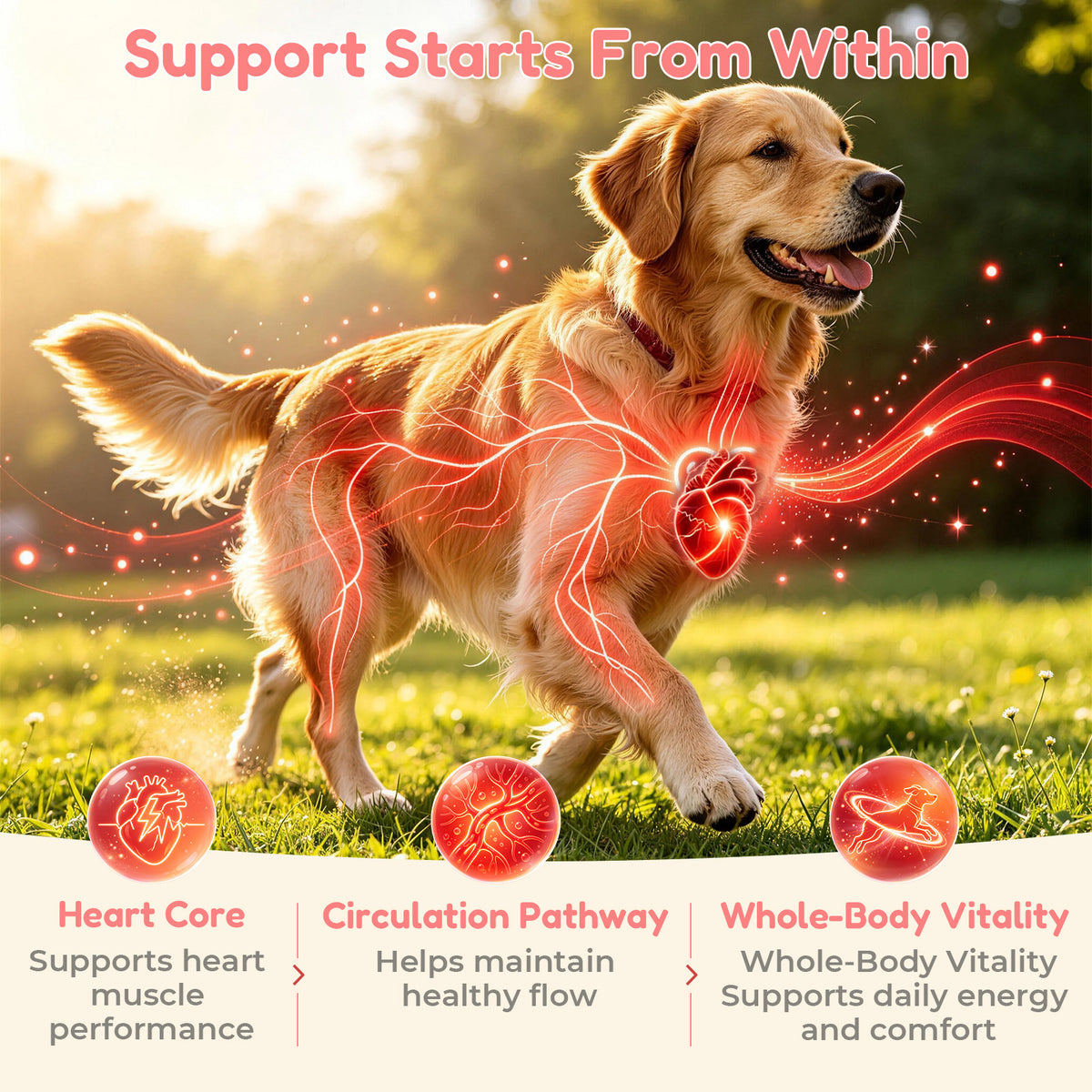 VUN Dog Heart Supplements–Senior Dogs Cardio Support Soft Chews