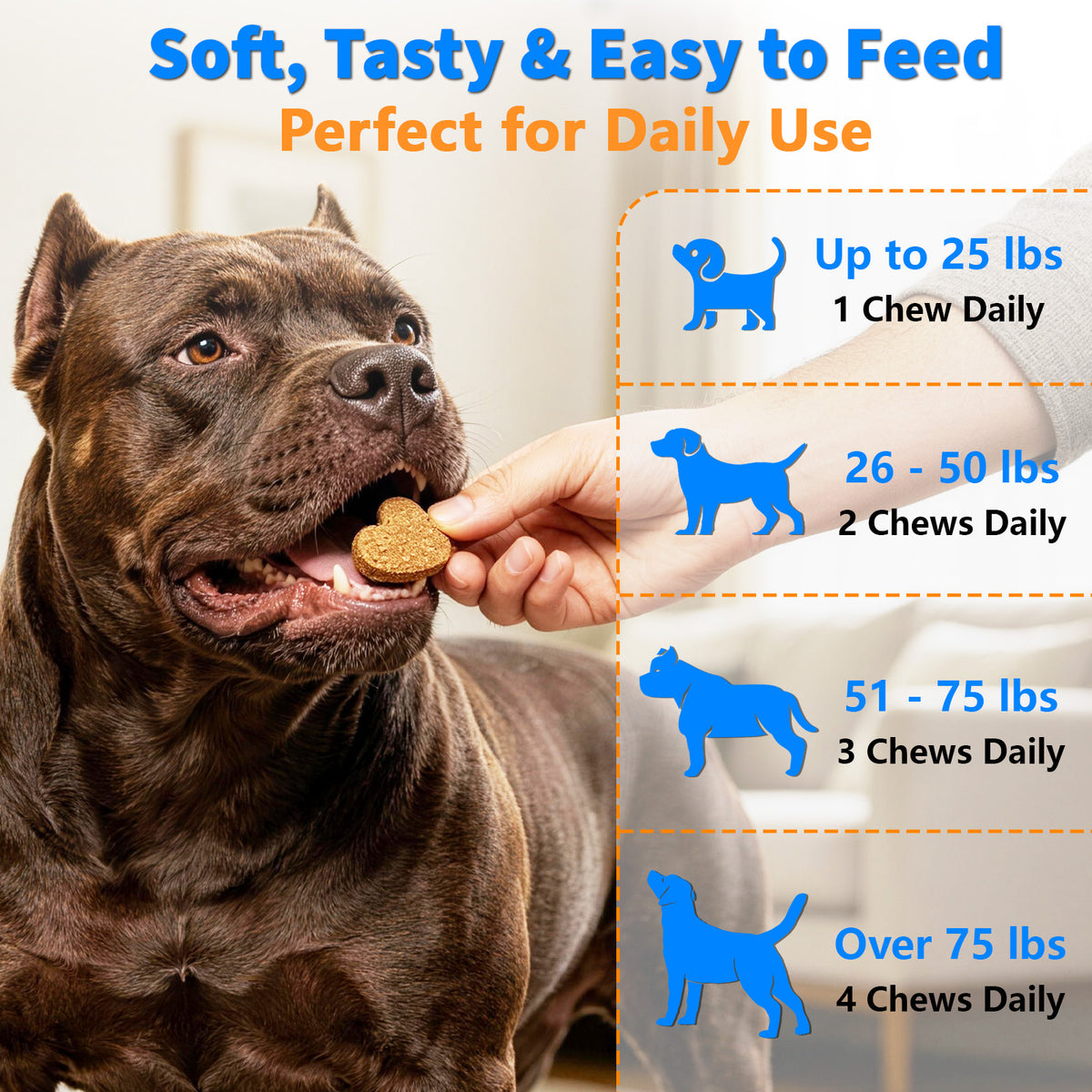 VUN Muscle Gain Power Soft Chews for Dogs– Dog Weight Gainer Treats