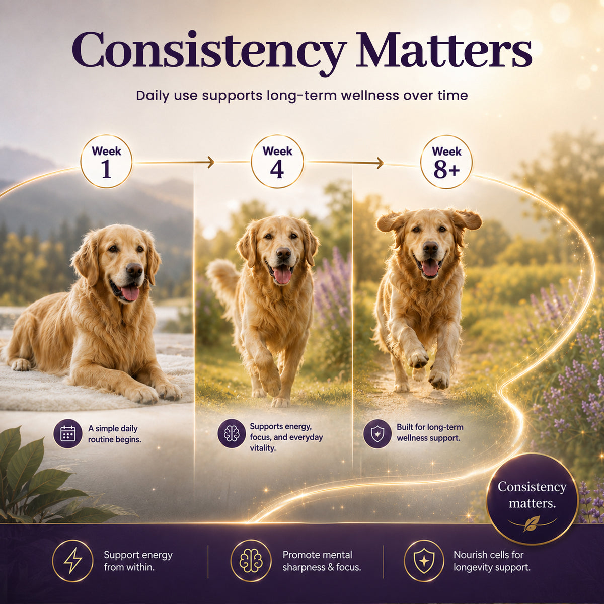 VUN NAD+ Longevity Supplement for Senior Dogs & Cats Cognitive