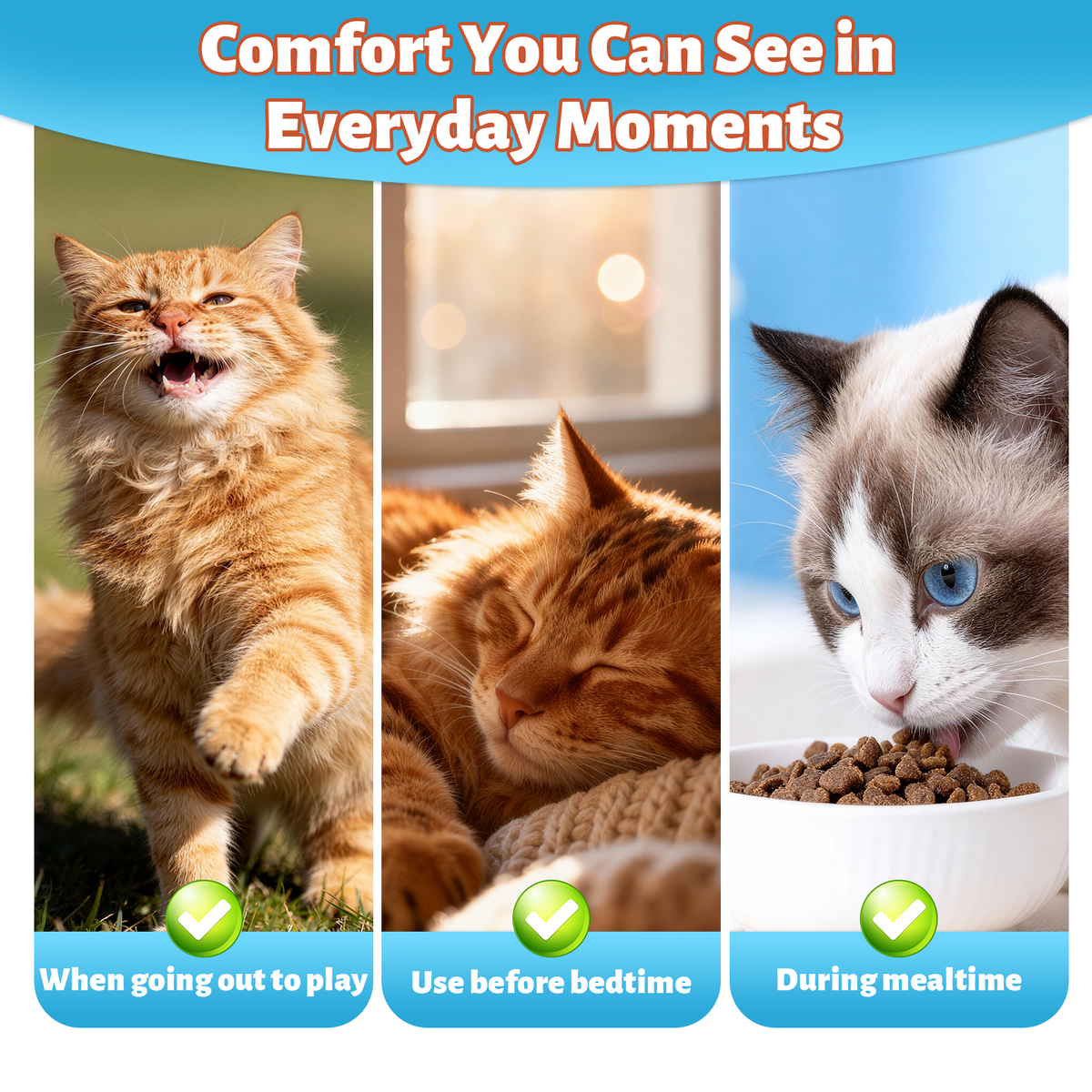 VUN L Lysine for Cats-Liquid Lysine Drops for Cat Immune & Respiratory
