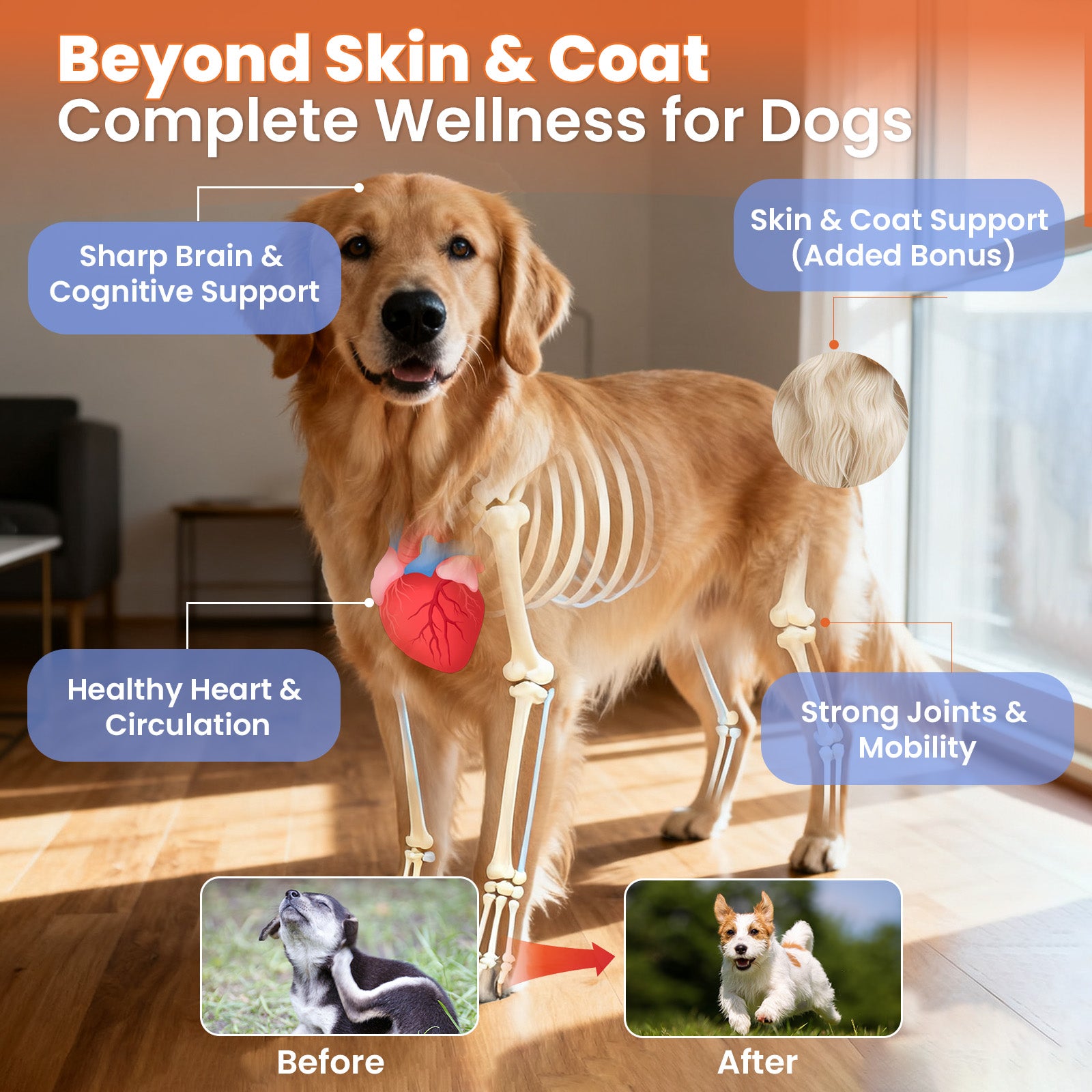 VUN Salmon Oil Soft Chews for Dogs | Omega 3 & 6 for Skin & Coat Health