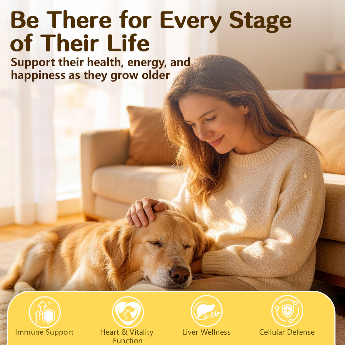 VUN 5-in-1 Mushroom Powder for Dogs & Cats – Daily Wellness Support