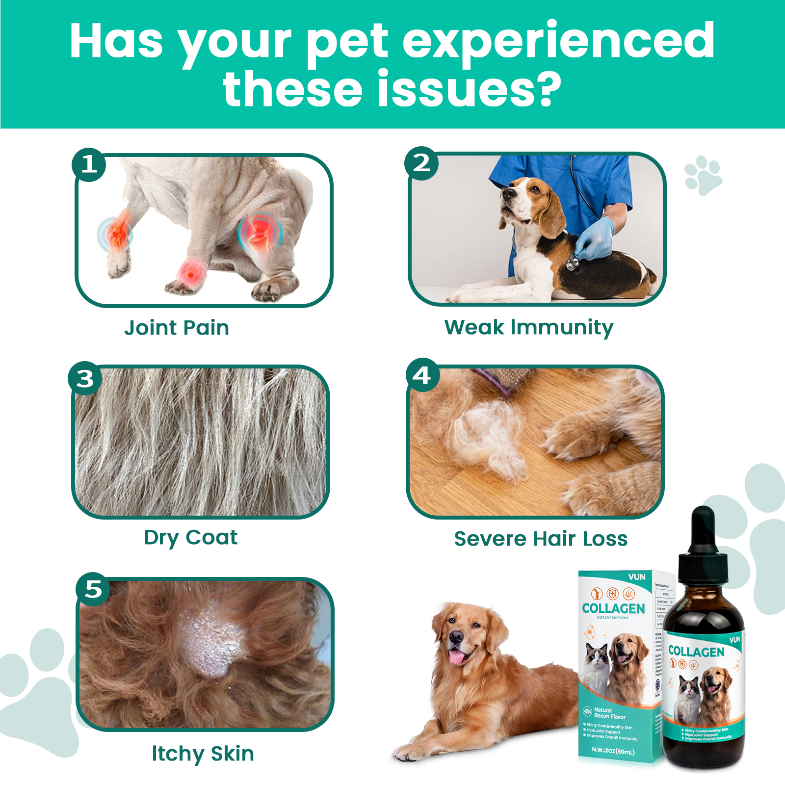 for Dogs & Cats – Skin, Coat & Joint Support