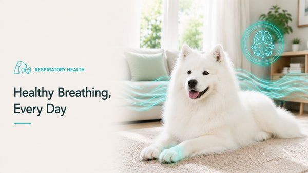 Respiratory Health
