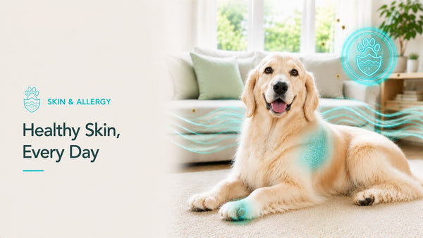 Skin & Allergy Health