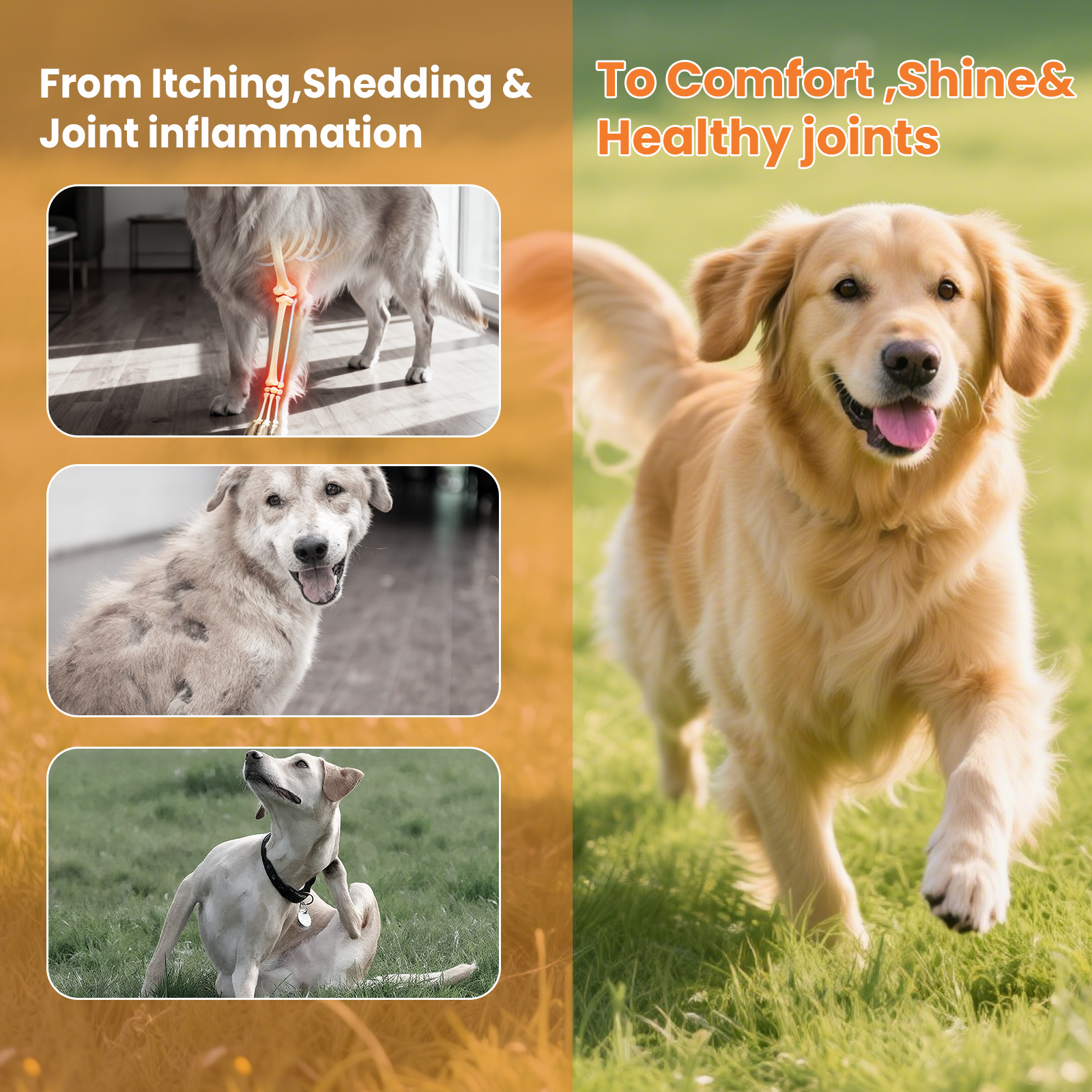 VUN Omega 3 Fish Oil for Dogs | Skin, Coat & Joint Support Formula