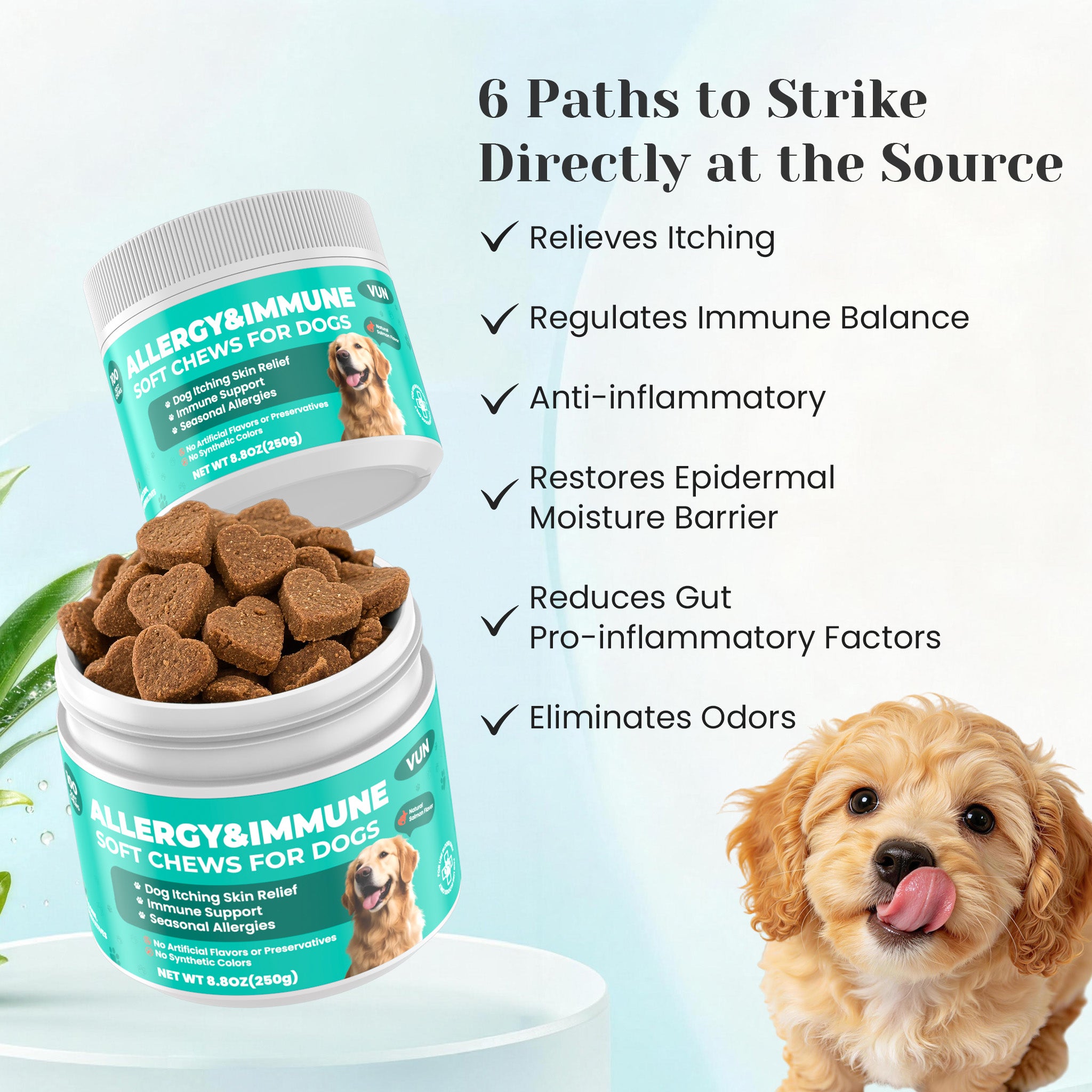 Allergy and immune soft chews for skin health immune support and seasonal allergies | VUN Pet
