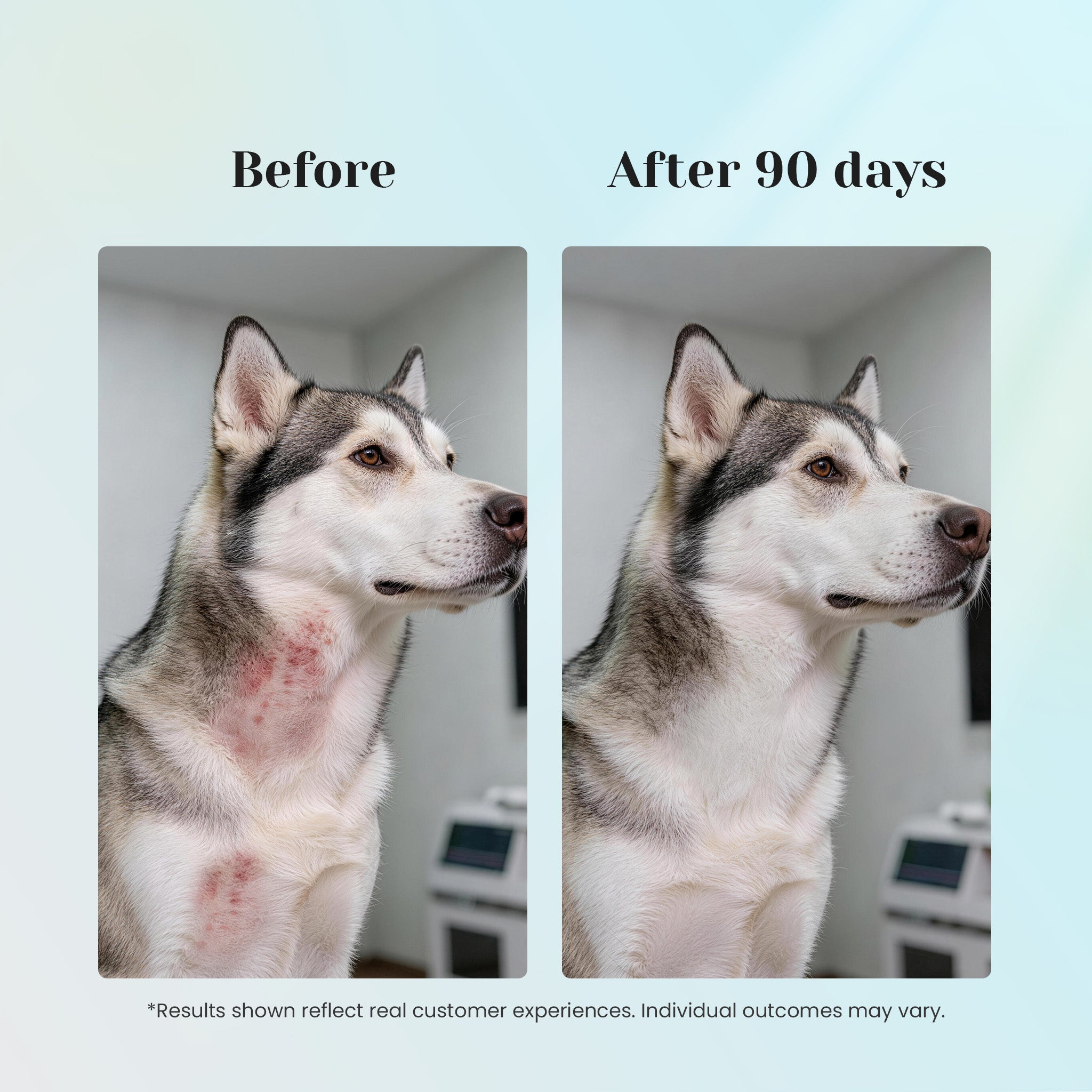 90 day wellness comparison using VUN Pet allergy and immune soft chews