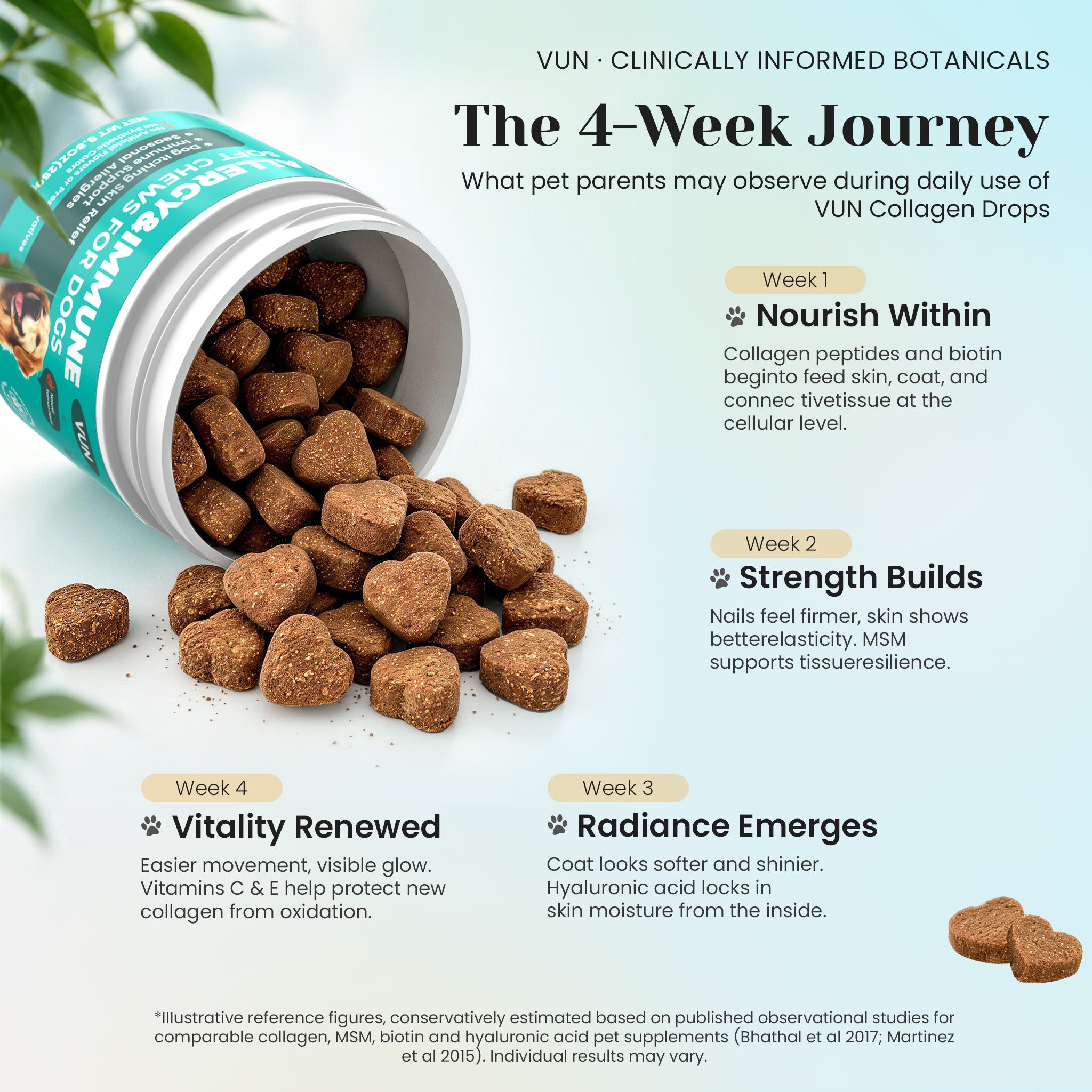 Monthly wellness progress with VUN Pet allergy and immune soft chews
