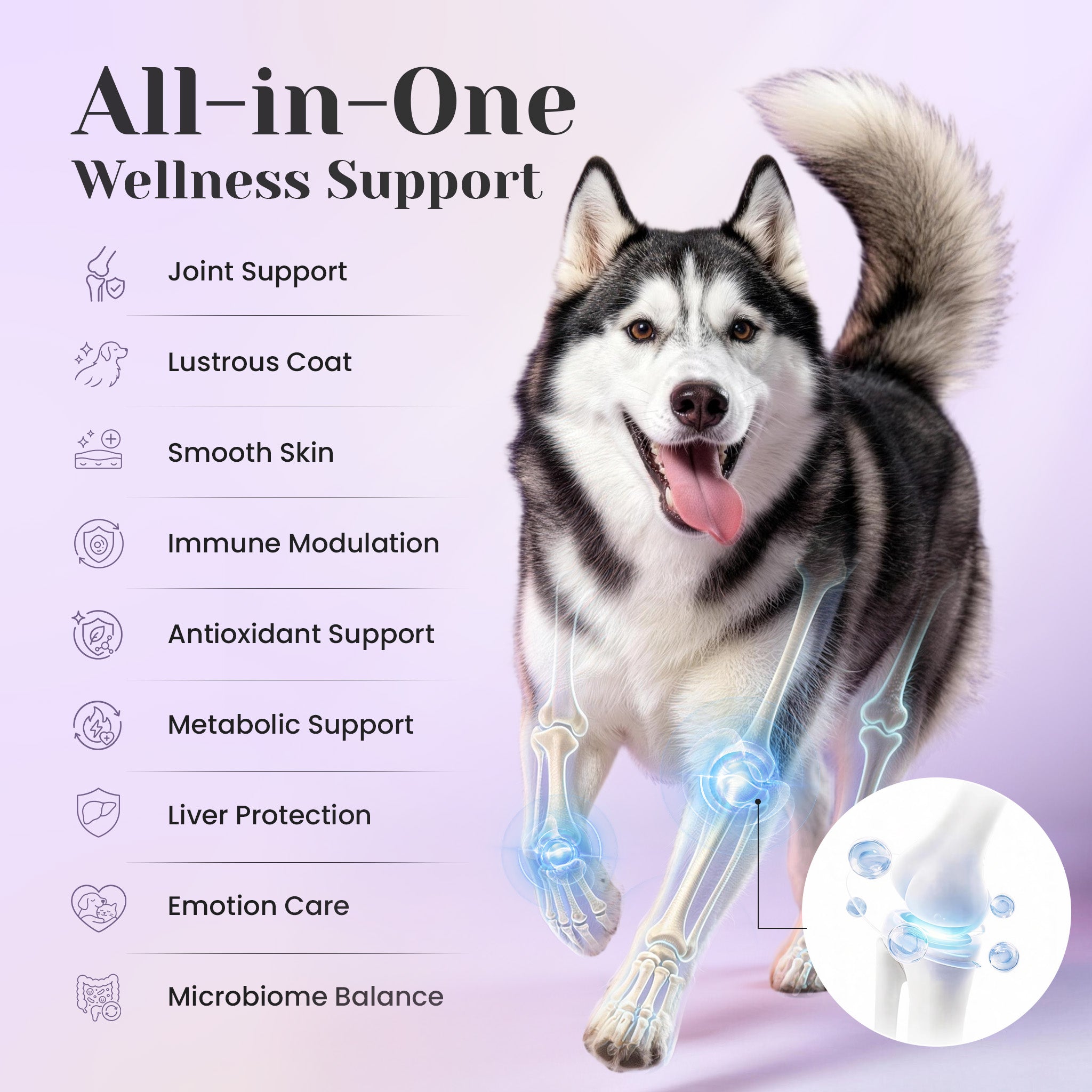 25-in-1 dog multivitamin for immune skin coat joint digestive and heart support