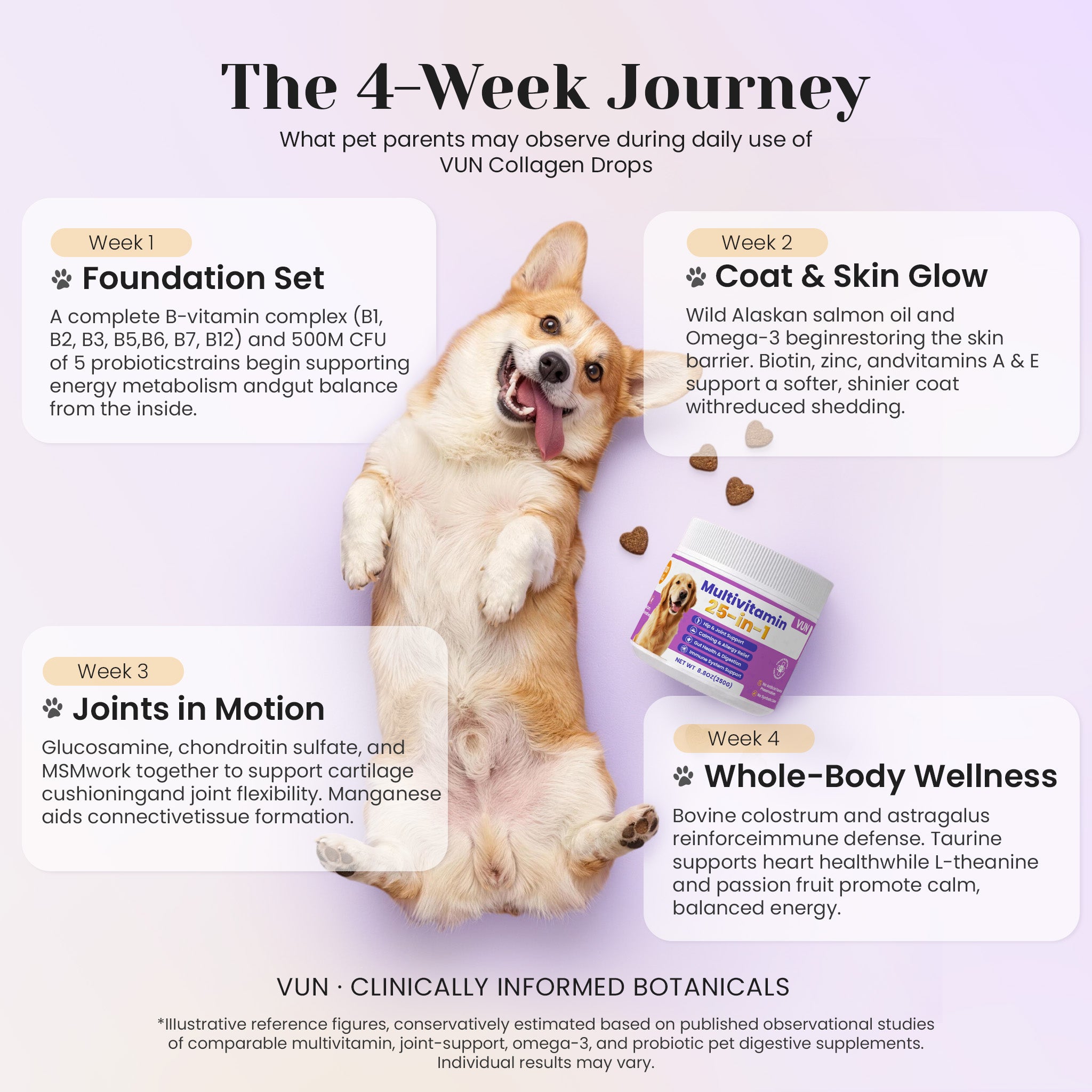 Monthly wellness progress with VUN Pet 25-in-1 multivitamin soft chews for dogs