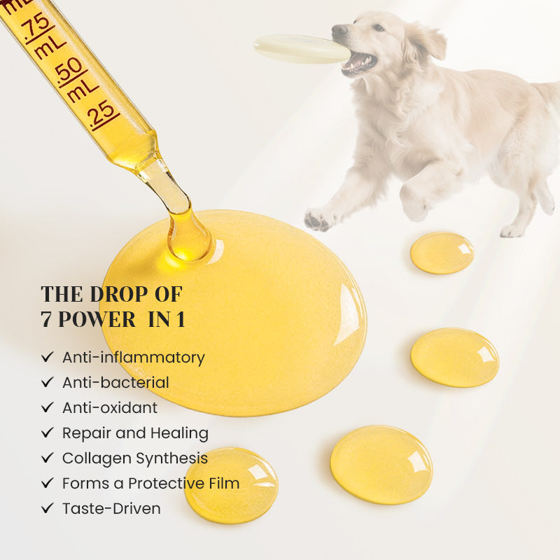 Yeast relief drops for itchy skin ears paws and immune support.