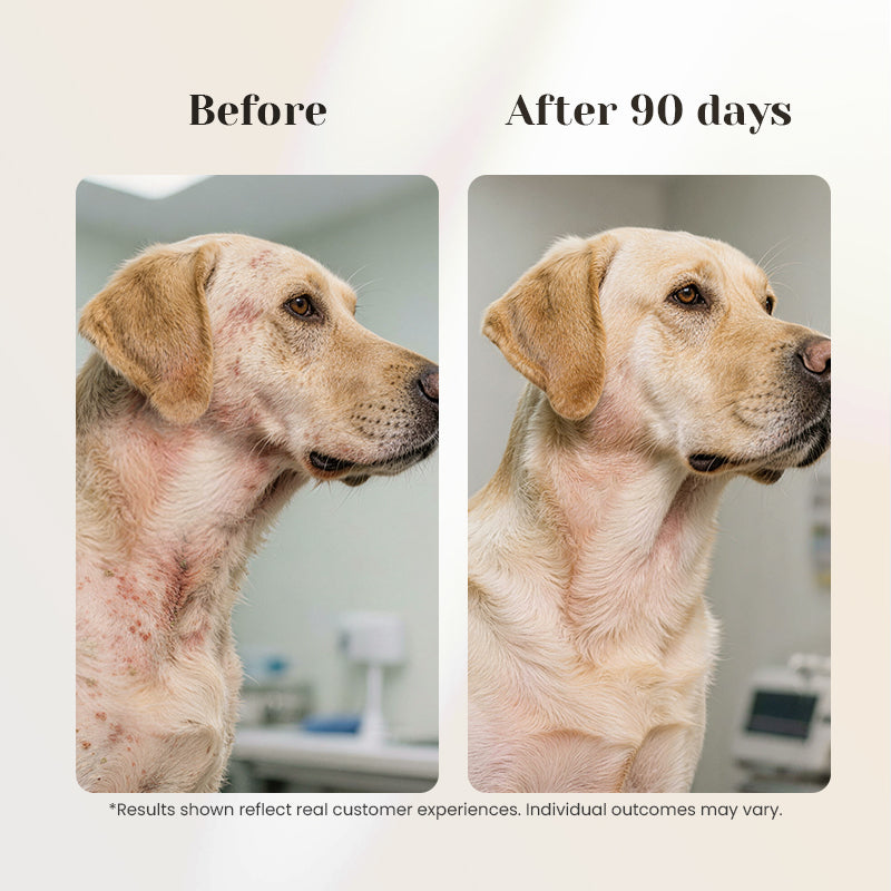 Before and after using yeast relief drops for pets.