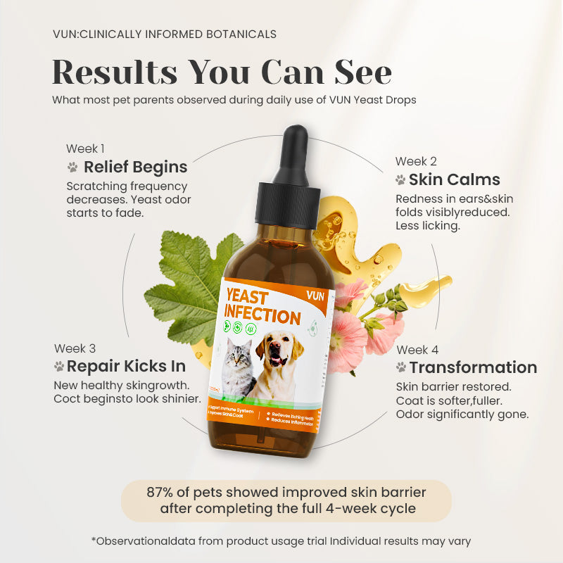 Daily collagen support for healthy skin coat and mobility.